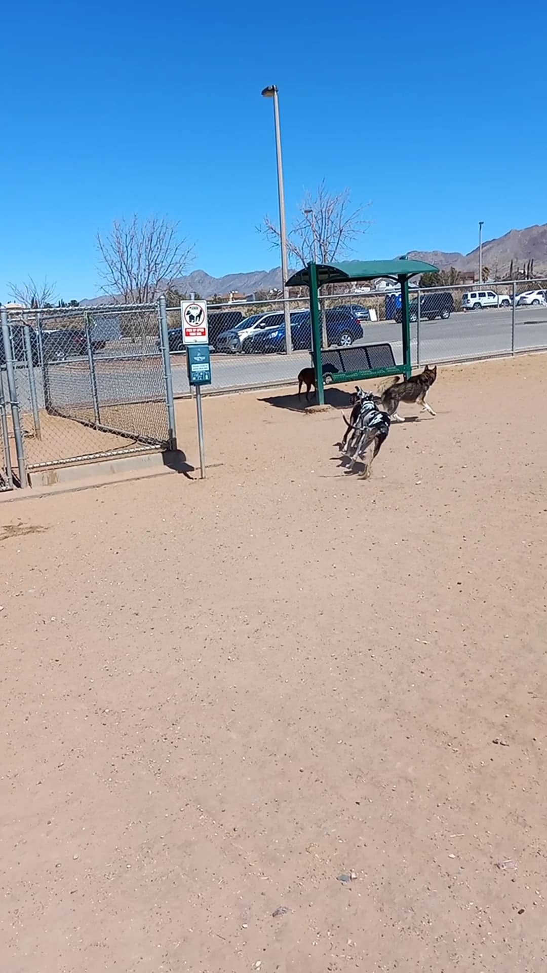Las Cruces Dog Park - Las Cruces, NM