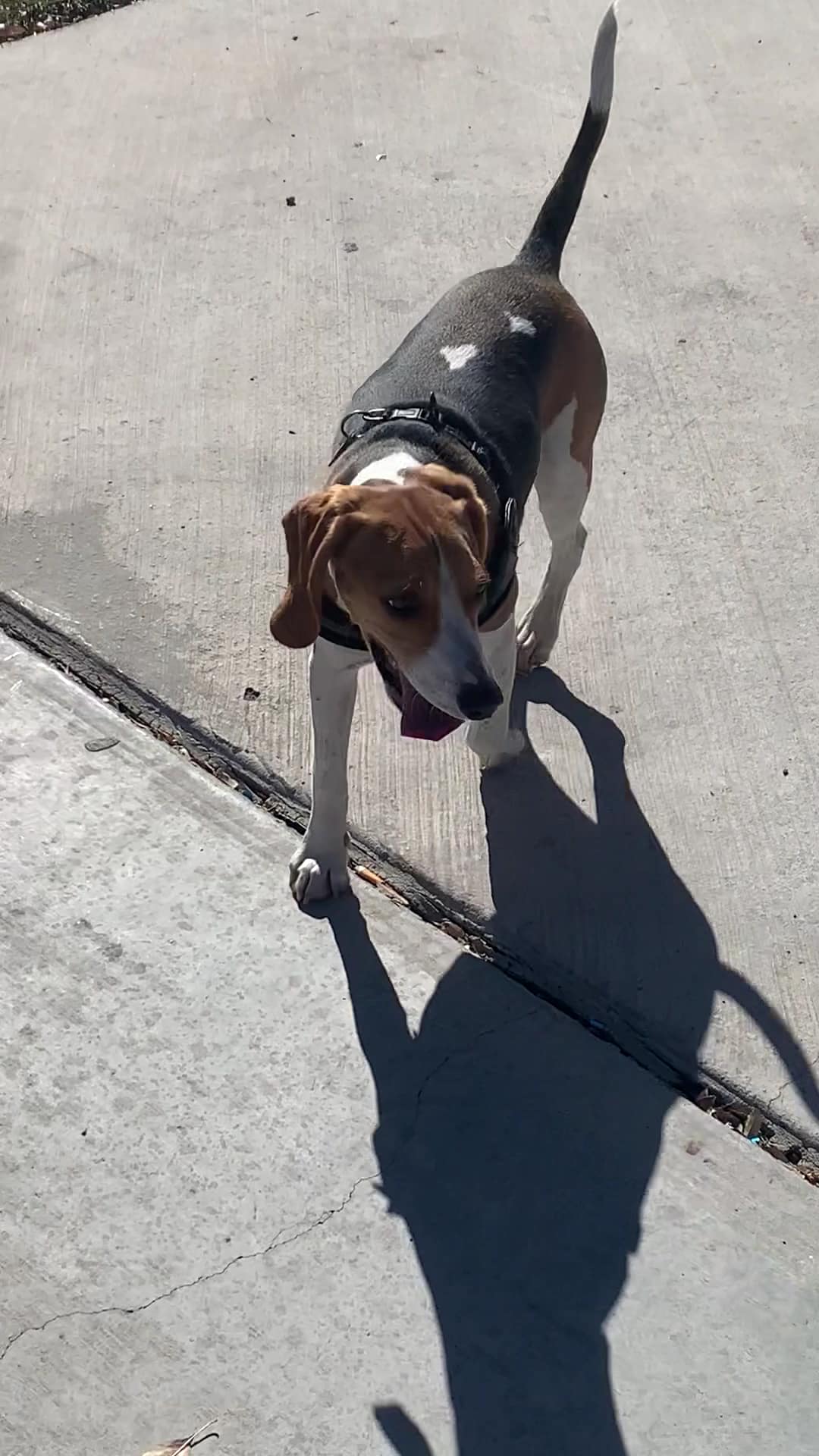 Duck Creek Park - Las Vegas, NV