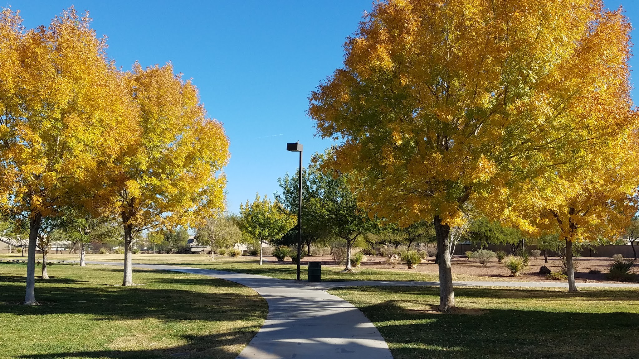 Duck Creek Park - Las Vegas, NV