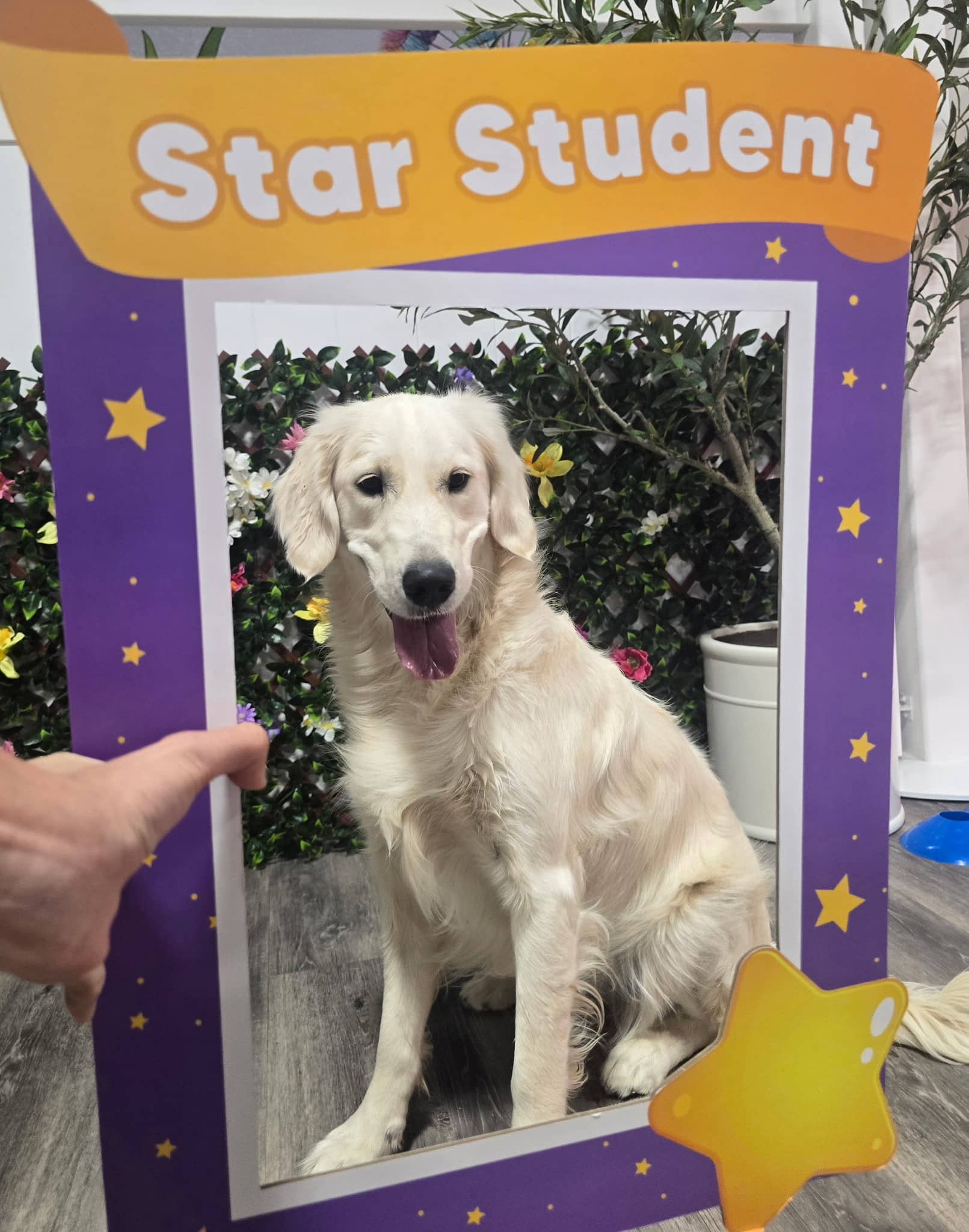 K-9 Kountry - Las Vegas, NV