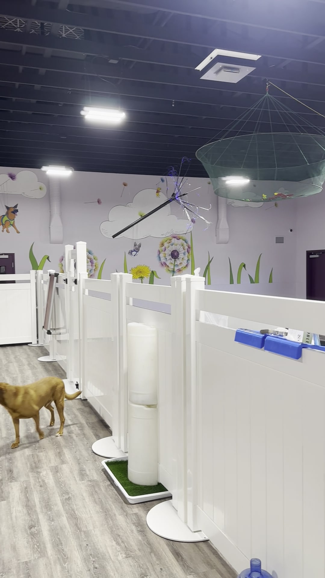 K-9 Kountry - Las Vegas, NV