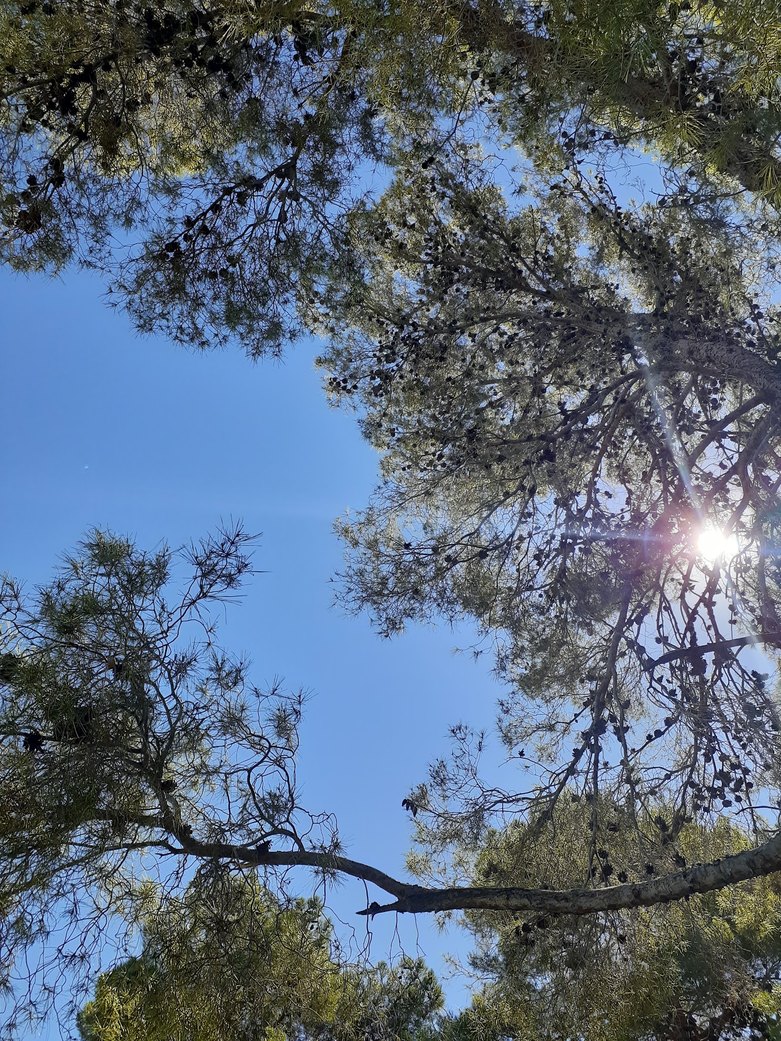 Ravenwood Park - Las Vegas, NV