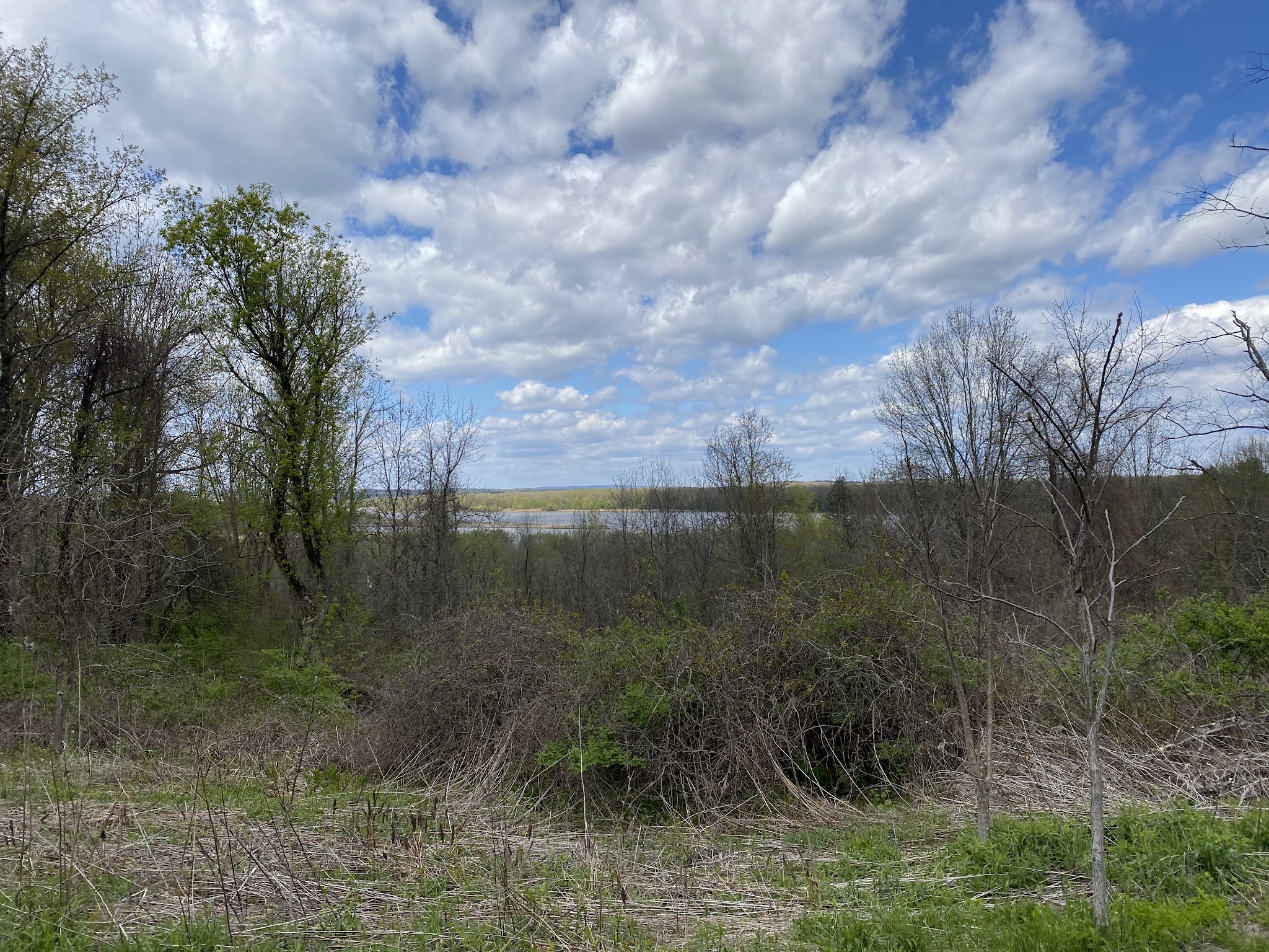 Fox Preserve - Latham, NY