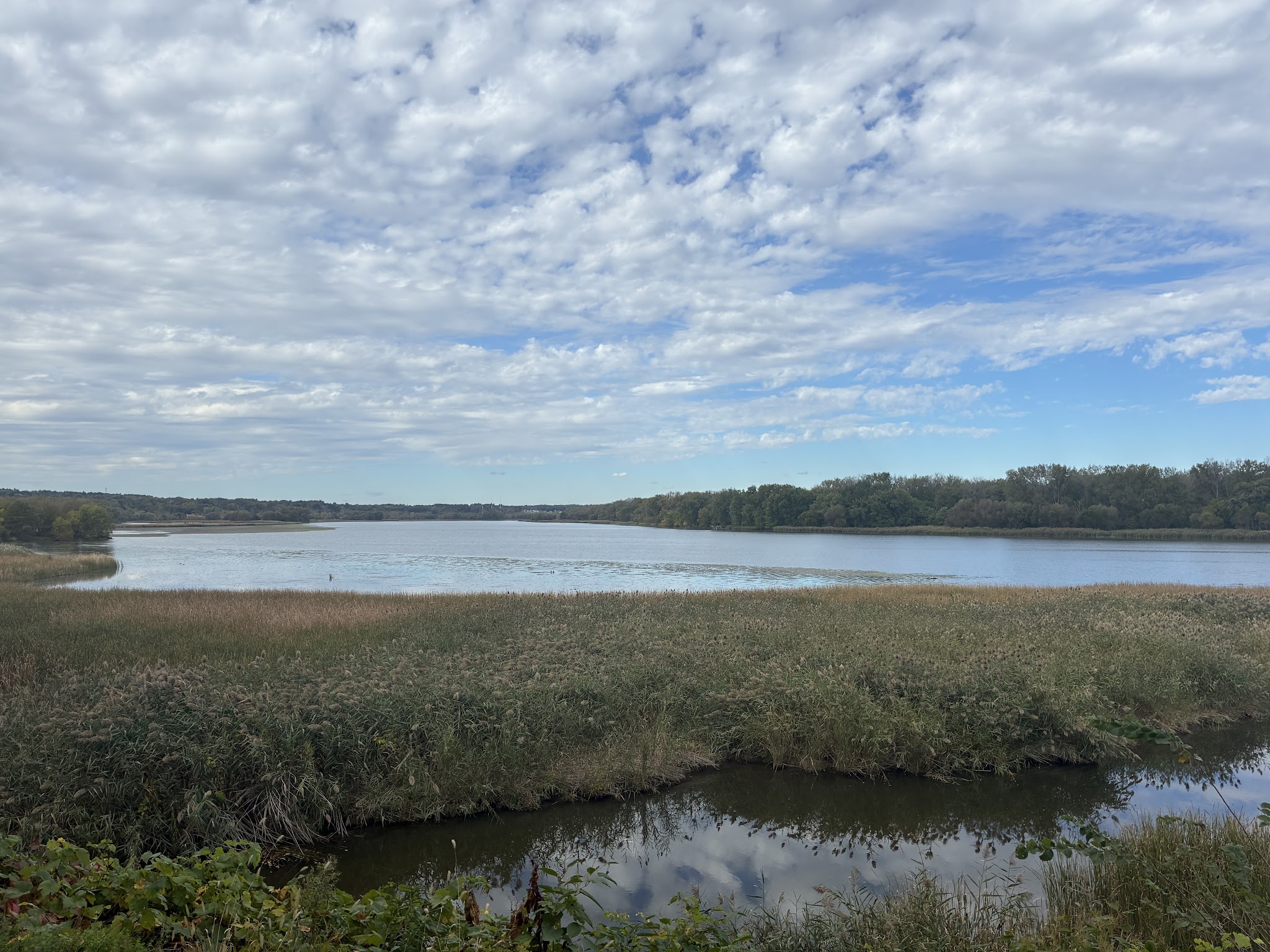 Fox Preserve - Latham, NY