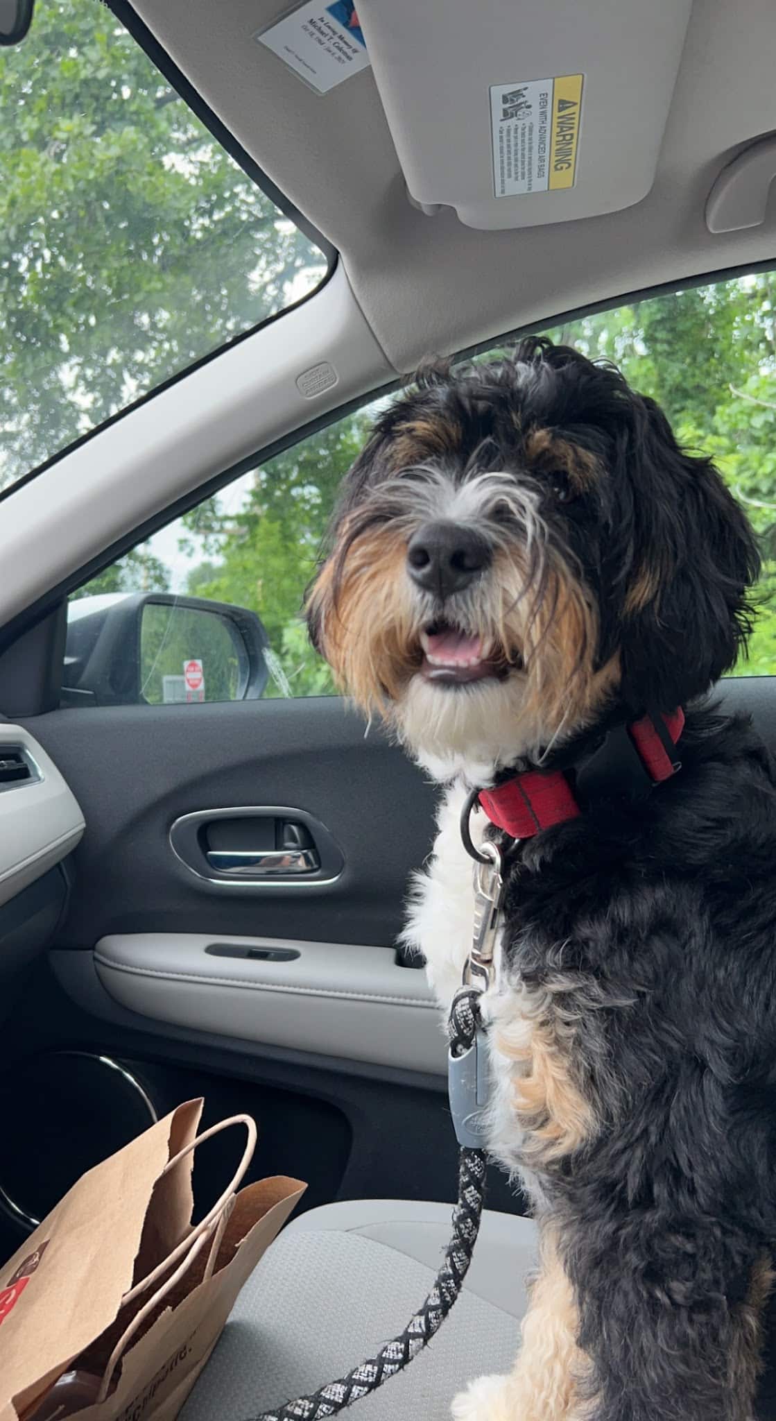 The Little Dog Lounge - Latham, NY