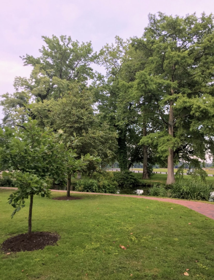 Janosik Park - Laurel, DE