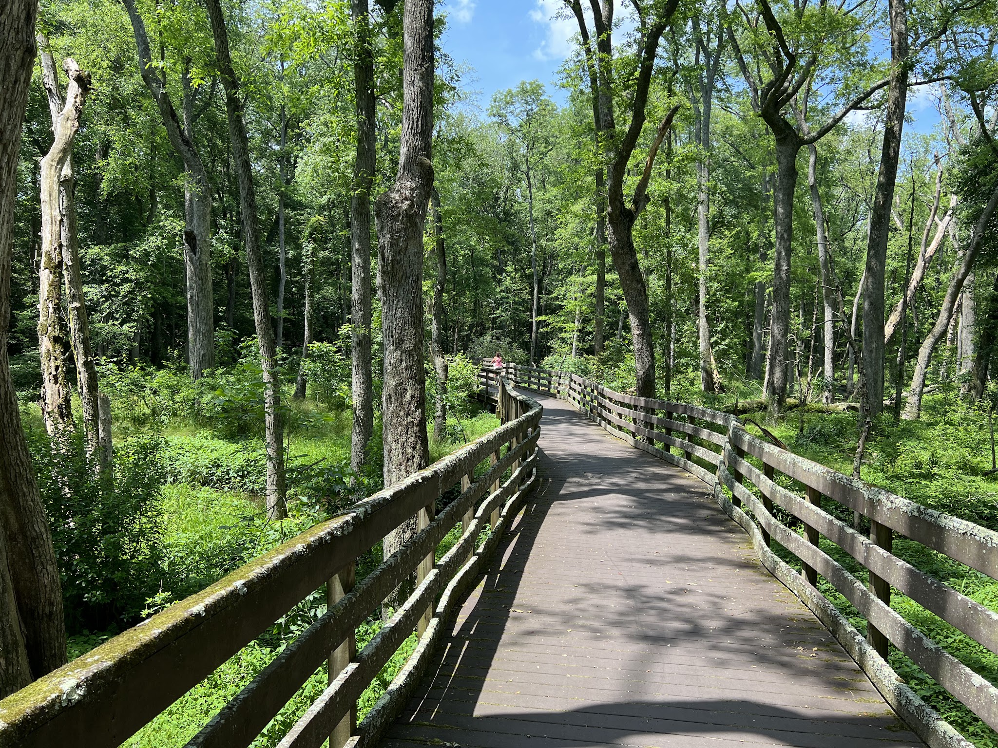 Trap Pond State Park - Laurel, DE