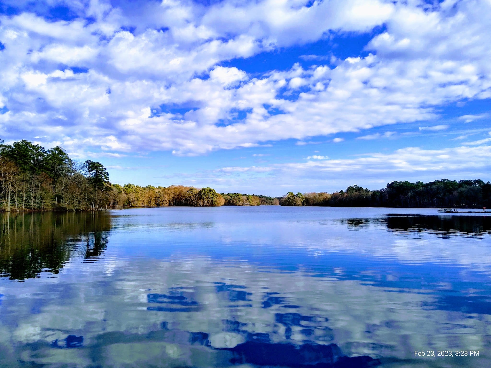 Trap Pond State Park - Laurel, DE