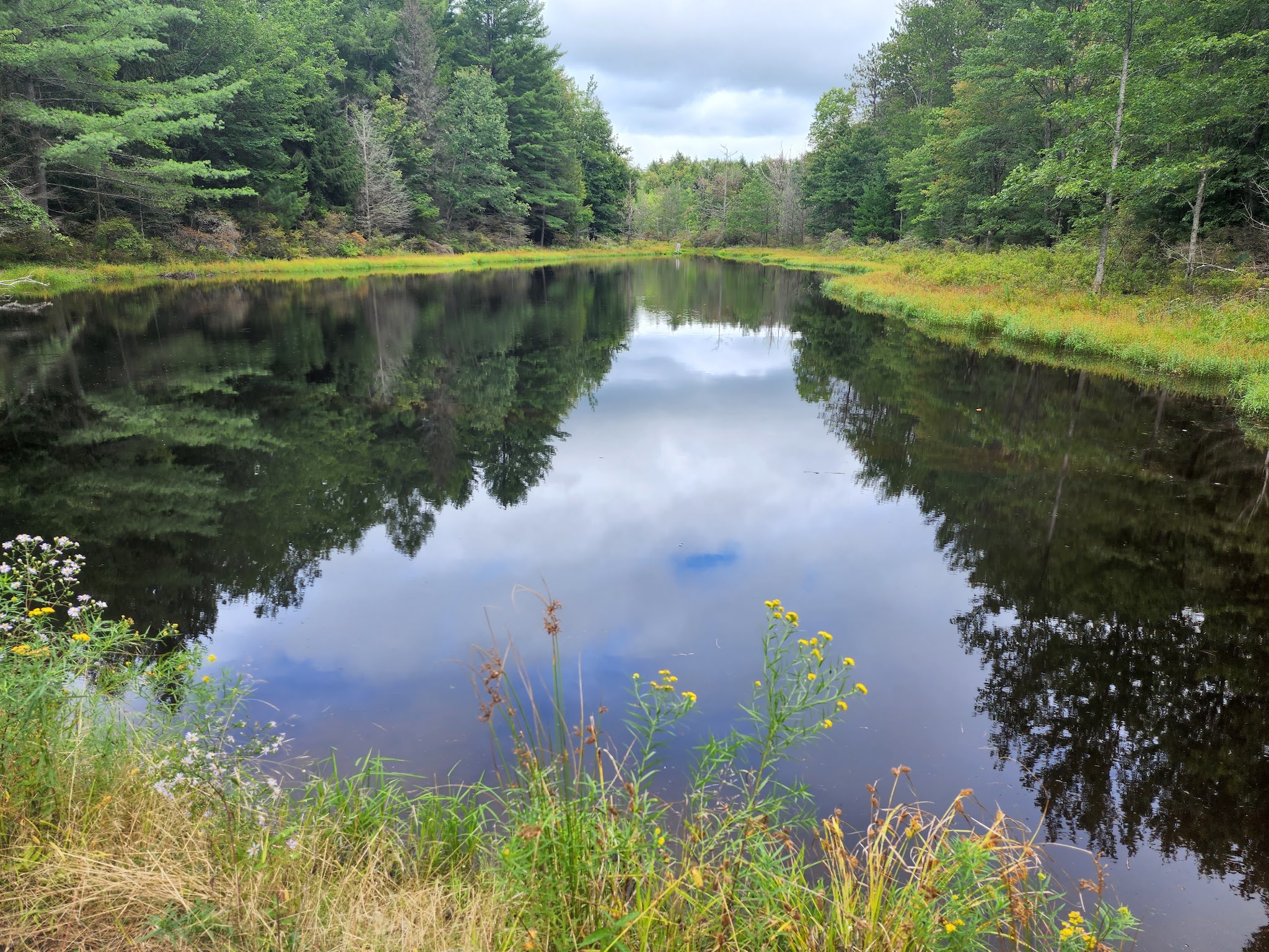 Gilbert Lake State Park - Laurens, NY