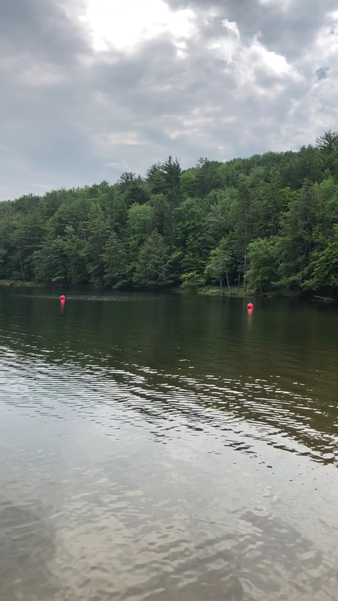 Gilbert Lake State Park - Laurens, NY