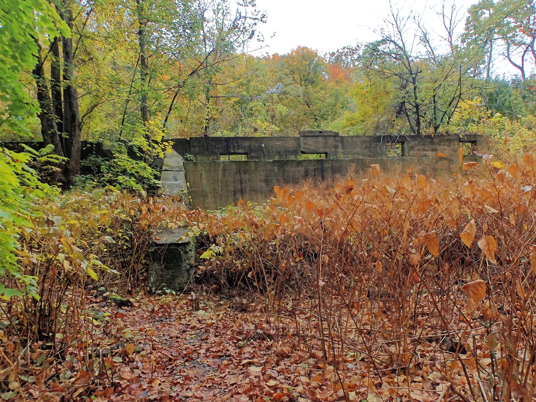 D&L Trail - River Dr Trailhead - Laurys Station, PA