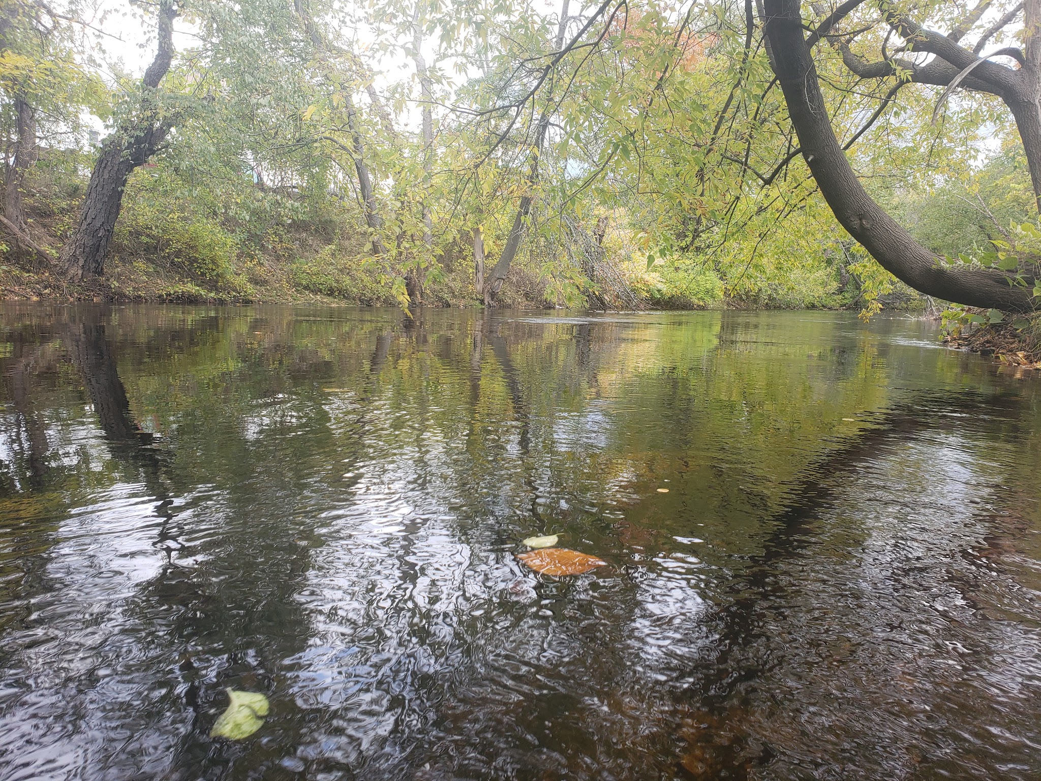 Lawrence Parks - Lawrence, MA