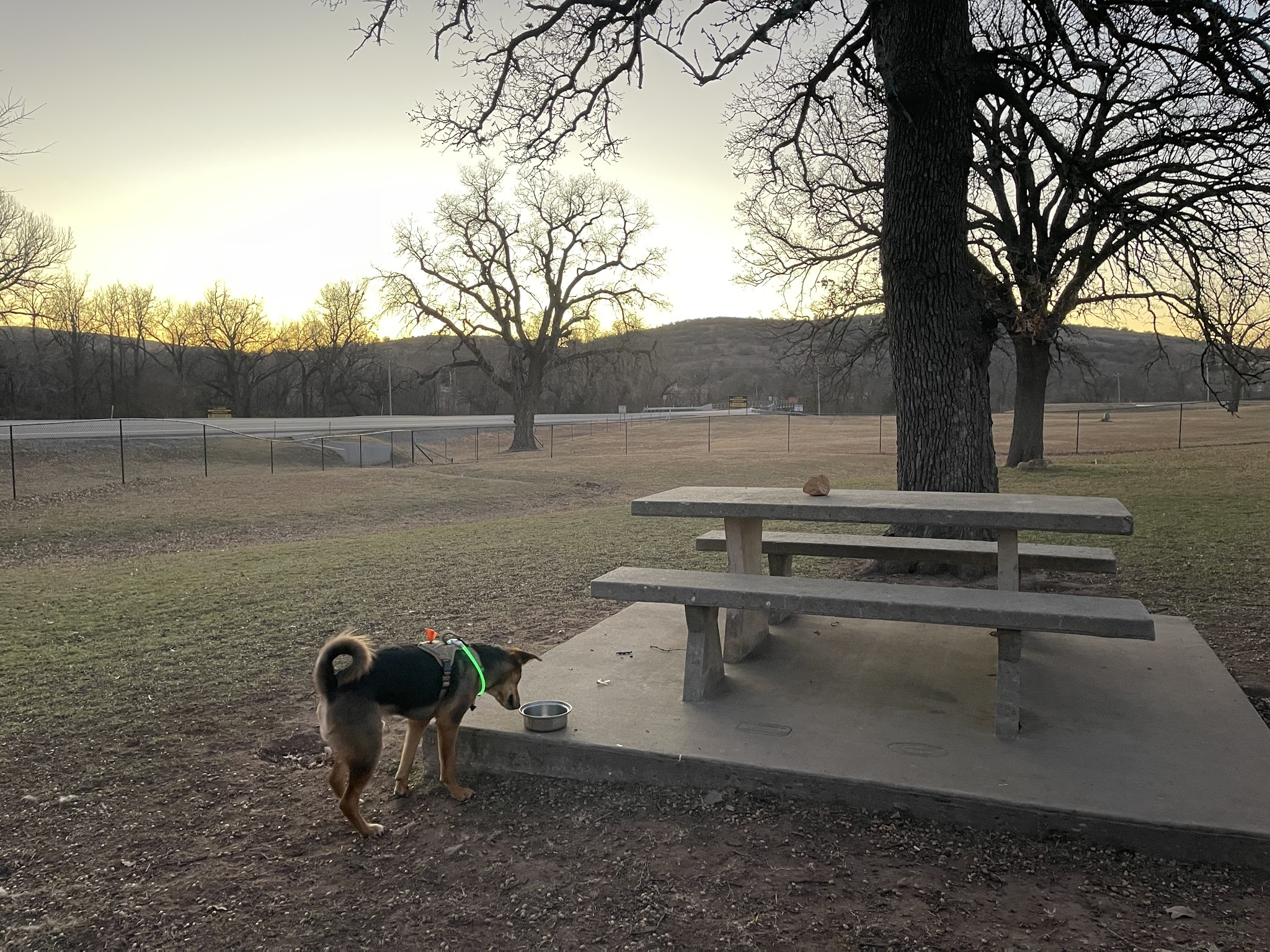 Medicine bark dog park - Lawton, OK