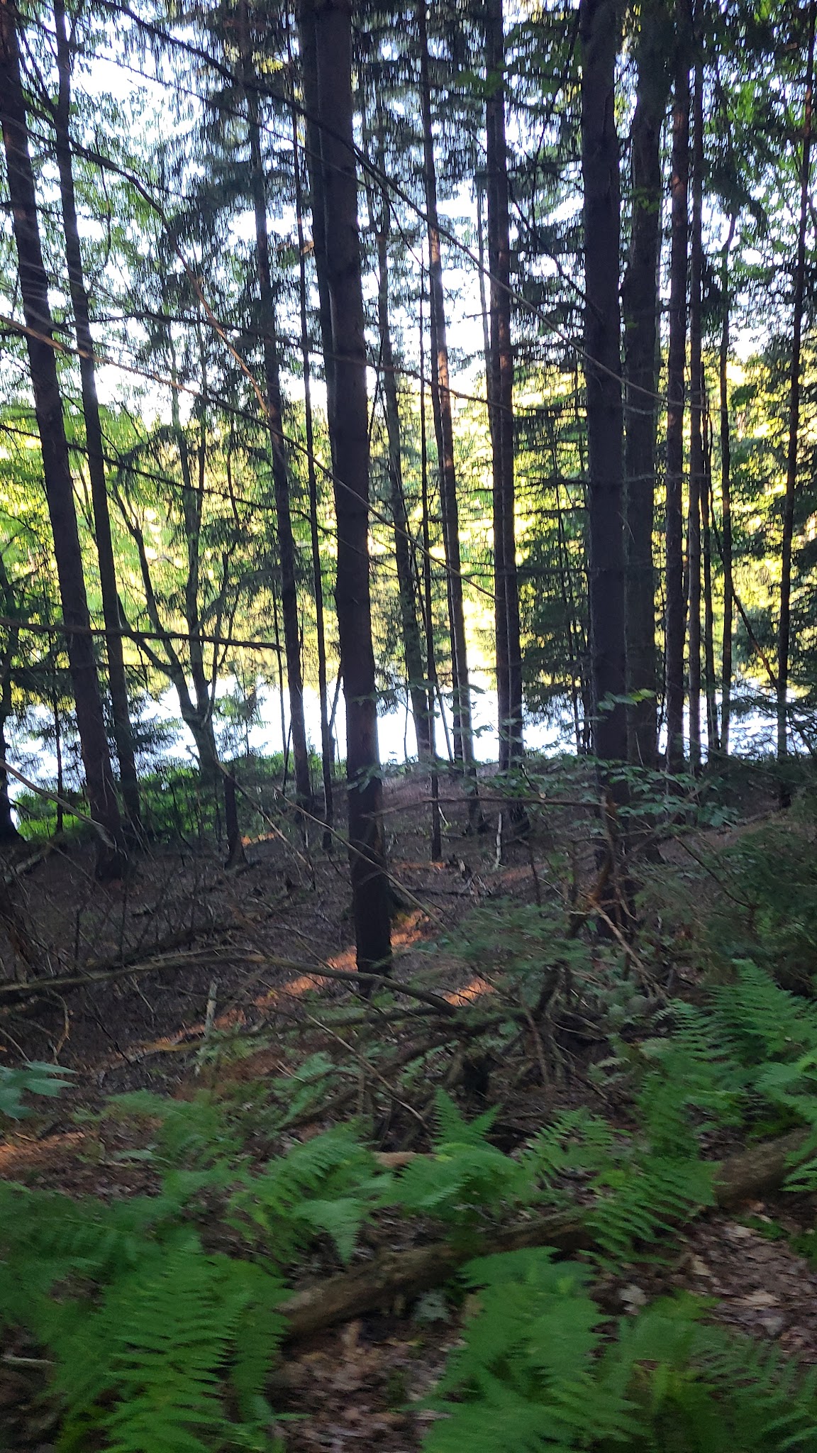Clear Lake WMA - Lawtons, NY
