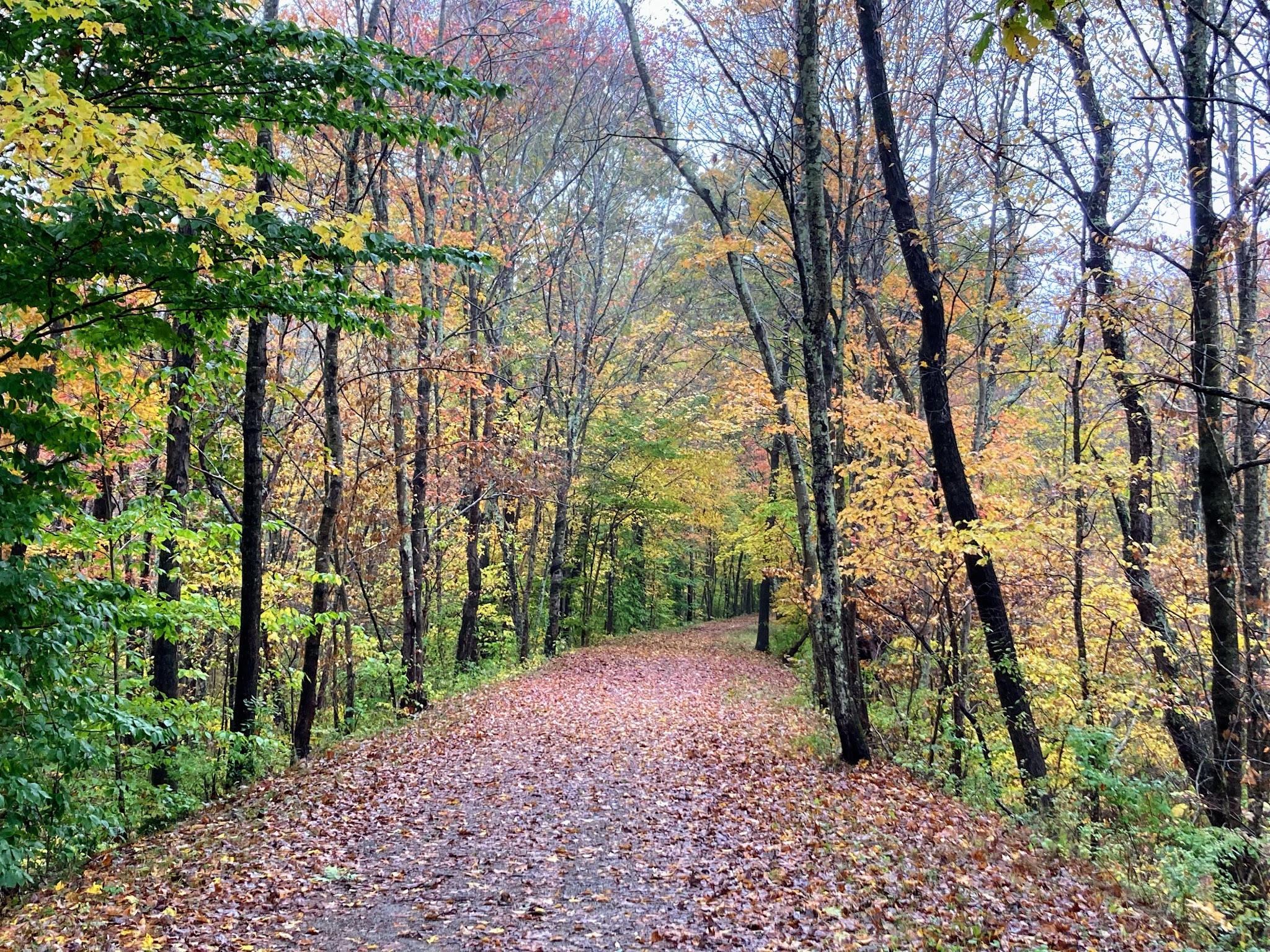 Air Line South State Park Trail (Lebanon Trailhead) - Lebanon, CT