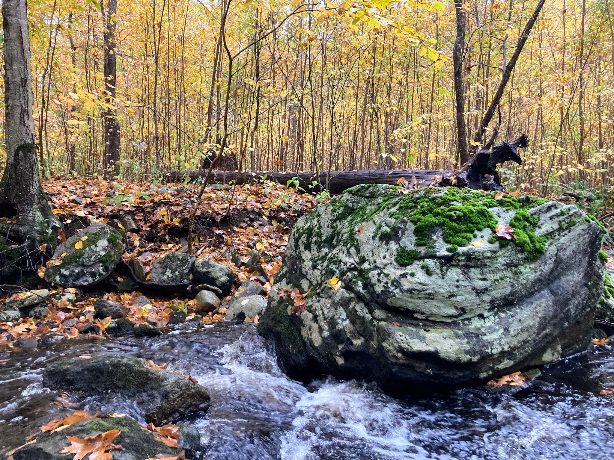 Air Line South State Park Trail (Lebanon Trailhead) - Lebanon, CT
