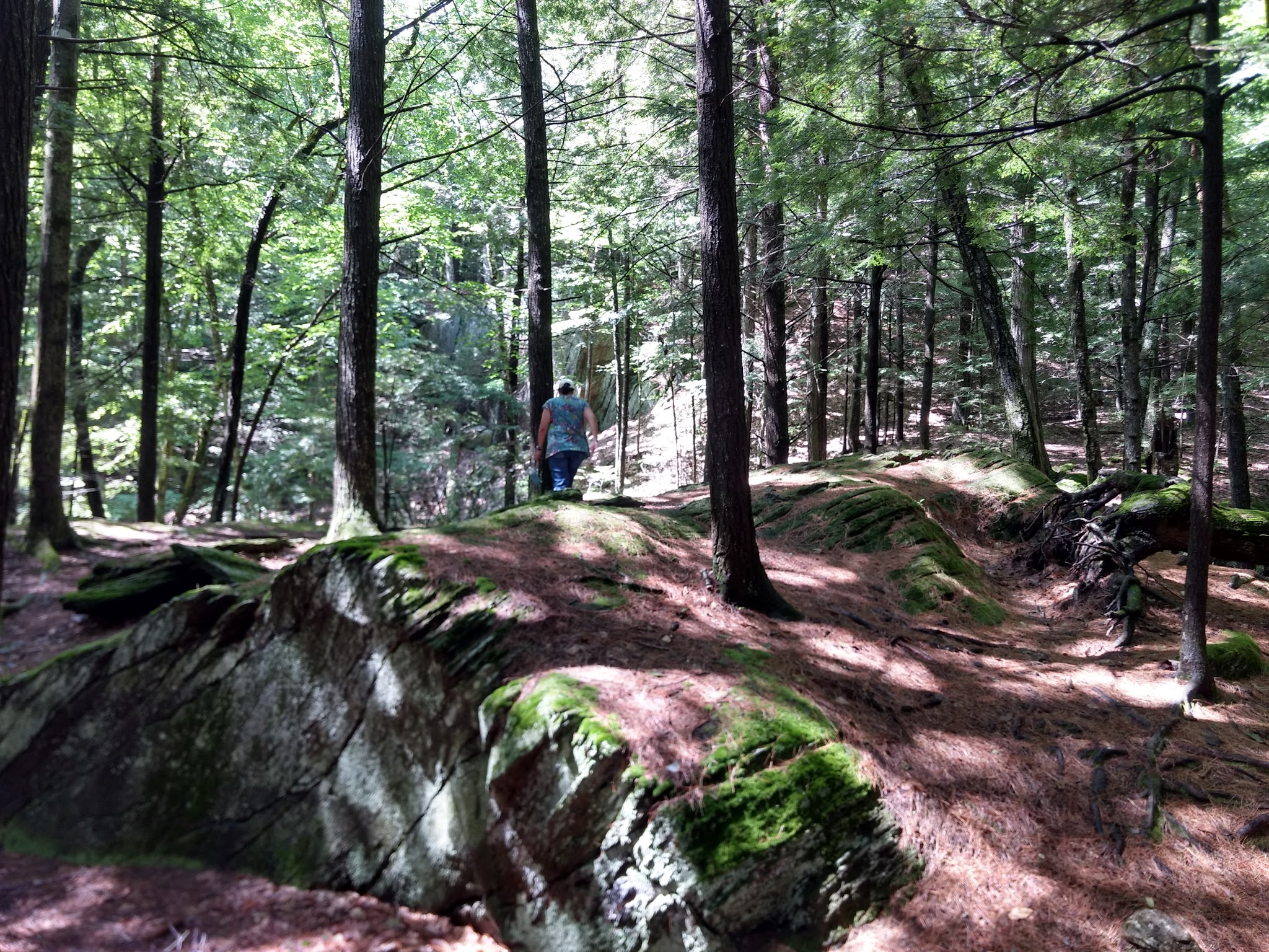 Gully Oven Park - Lebanon, ME