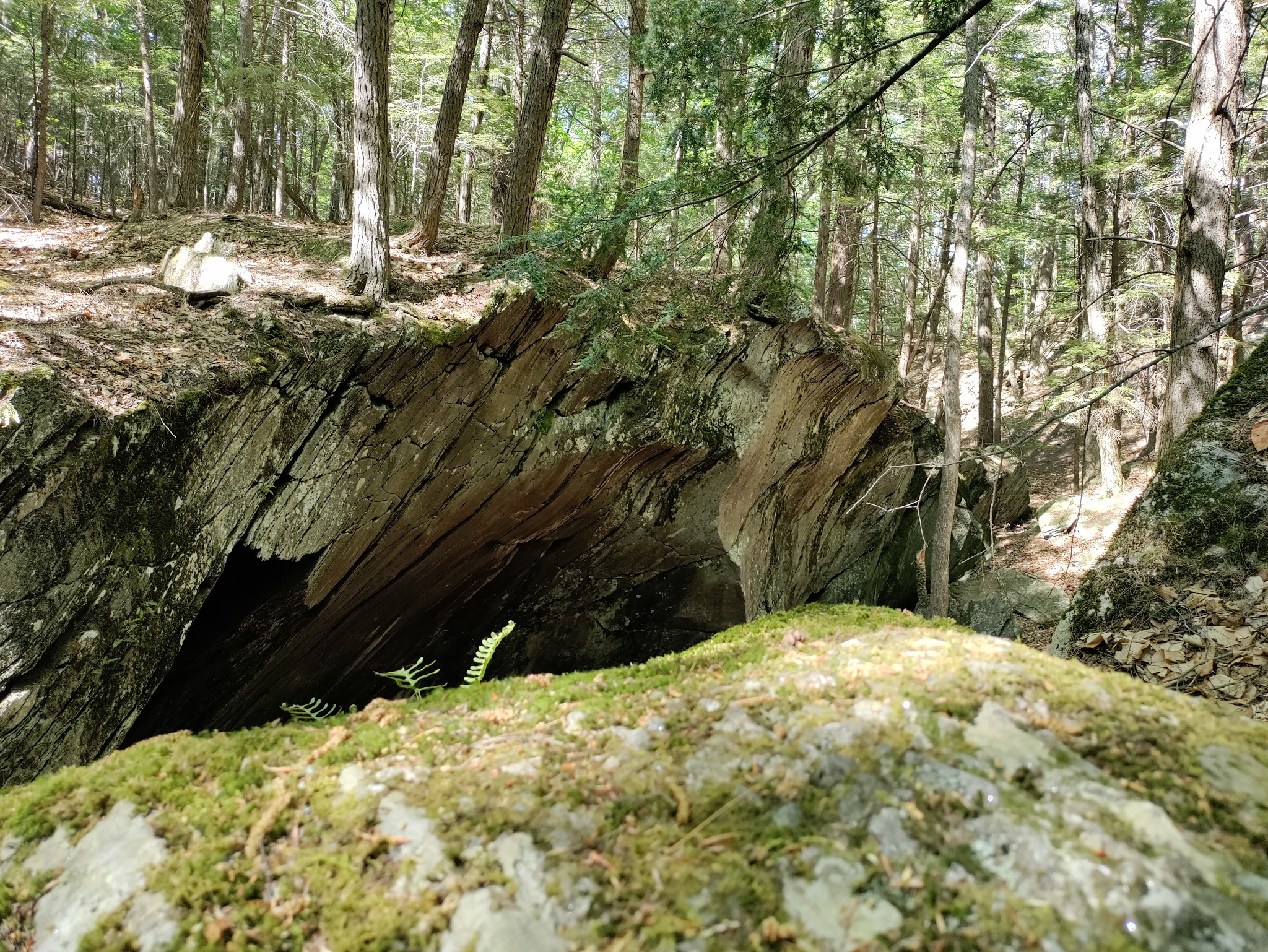 Gully Oven Park - Lebanon, ME