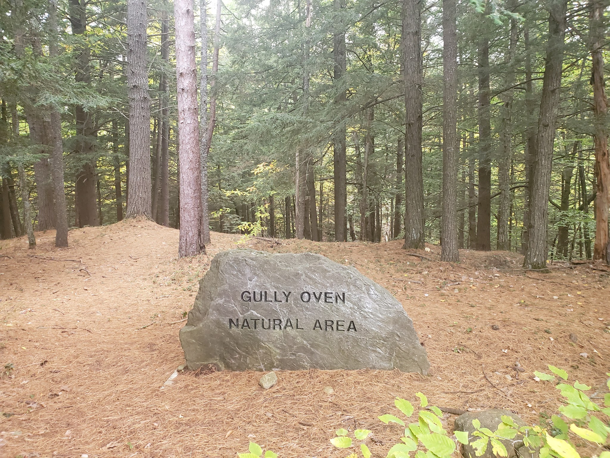 Gully Oven Park - Lebanon, ME