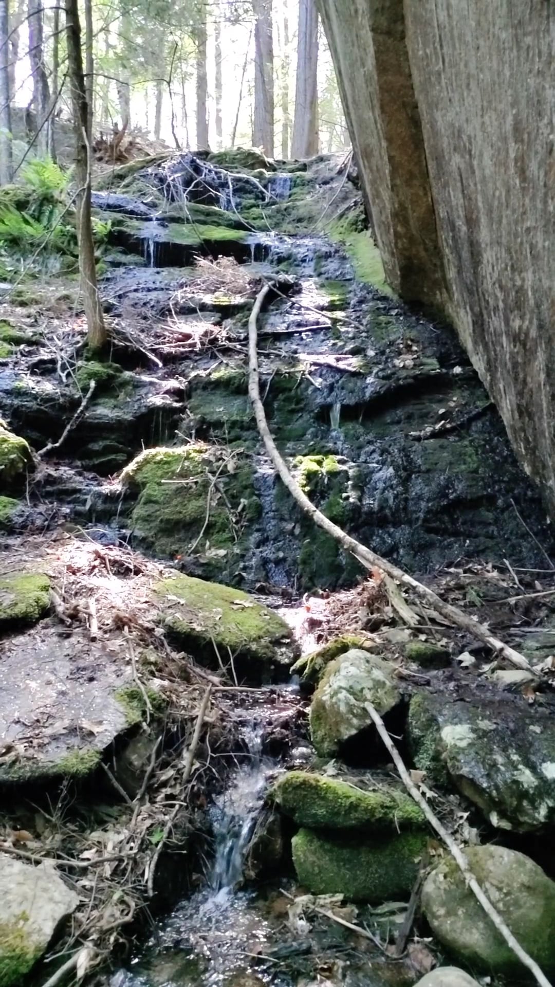Gully Oven Park - Lebanon, ME