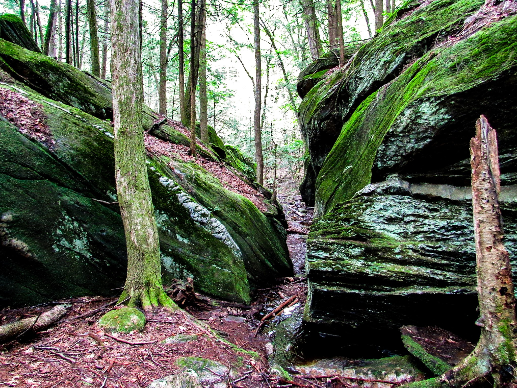 Gully Oven Park - Lebanon, ME