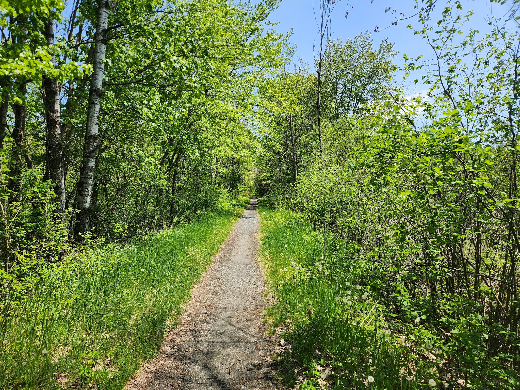 Northern Rail Trail Access - Lebanon, NH