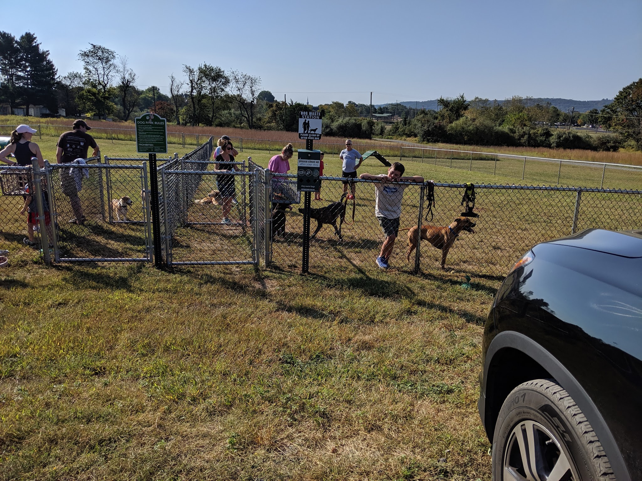 Bundt Park - Dog Park - Lebanon, NJ