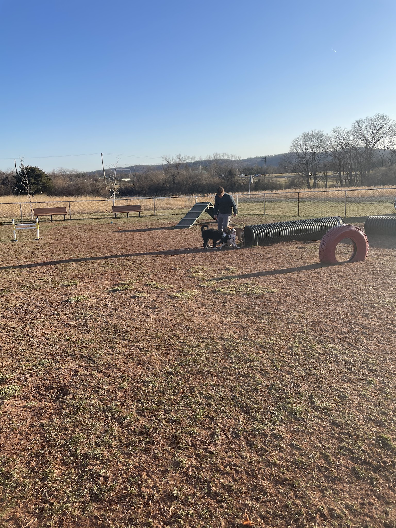 Bundt Park - Dog Park - Lebanon, NJ