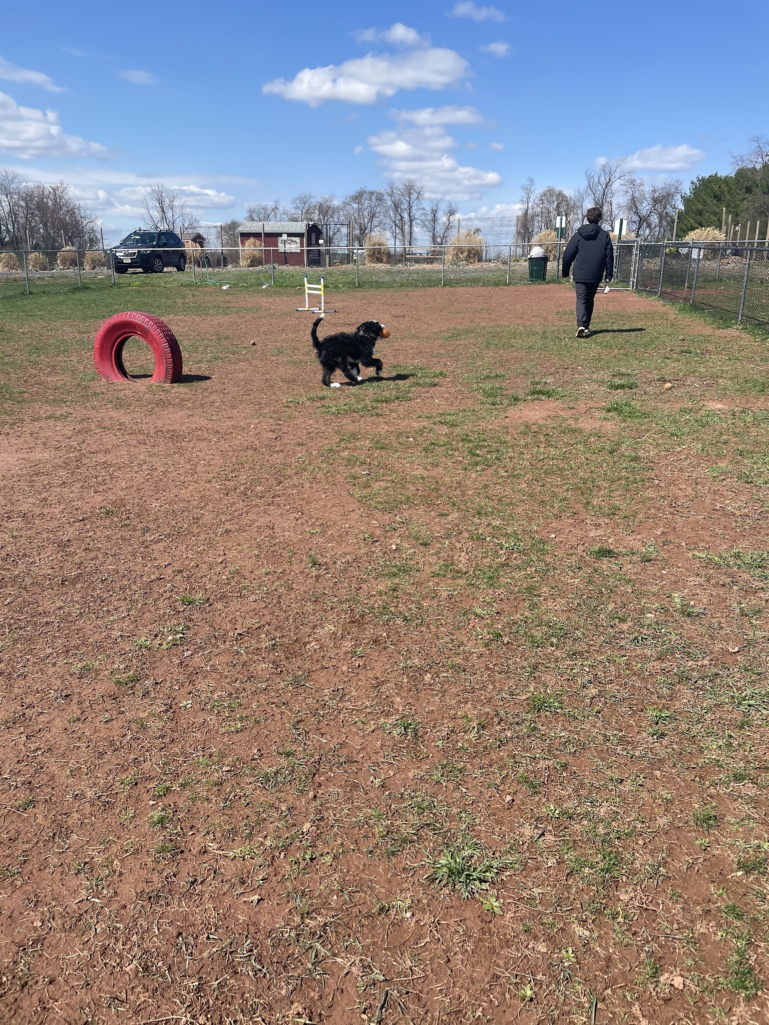 Bundt Park - Dog Park - Lebanon, NJ