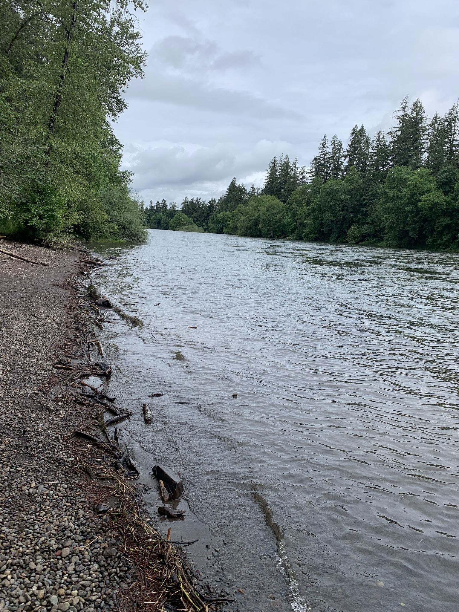 Waterloo Dog Park - Lebanon, OR