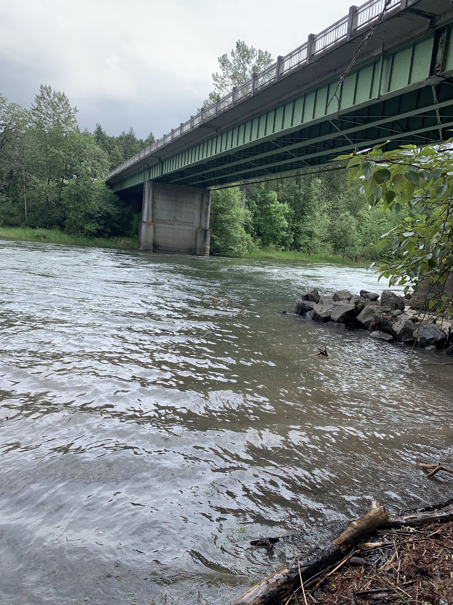 Waterloo Dog Park - Lebanon, OR