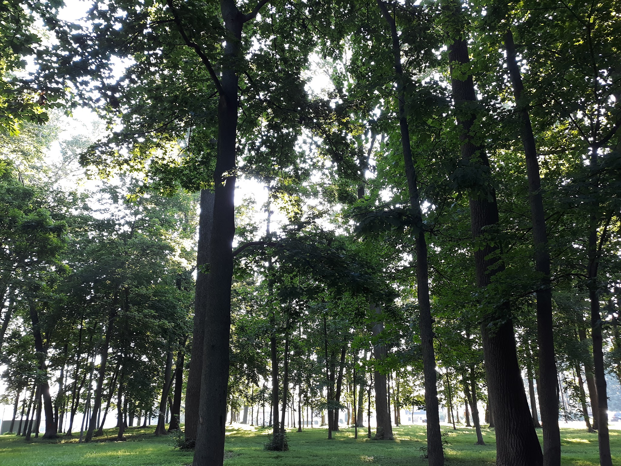 Gloninger Woods Park - Lebanon, PA