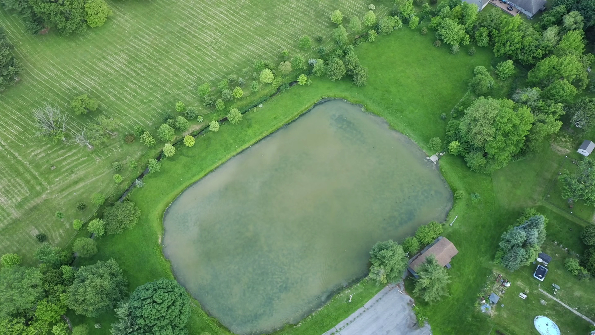 North-east Pond - Lebanon, PA