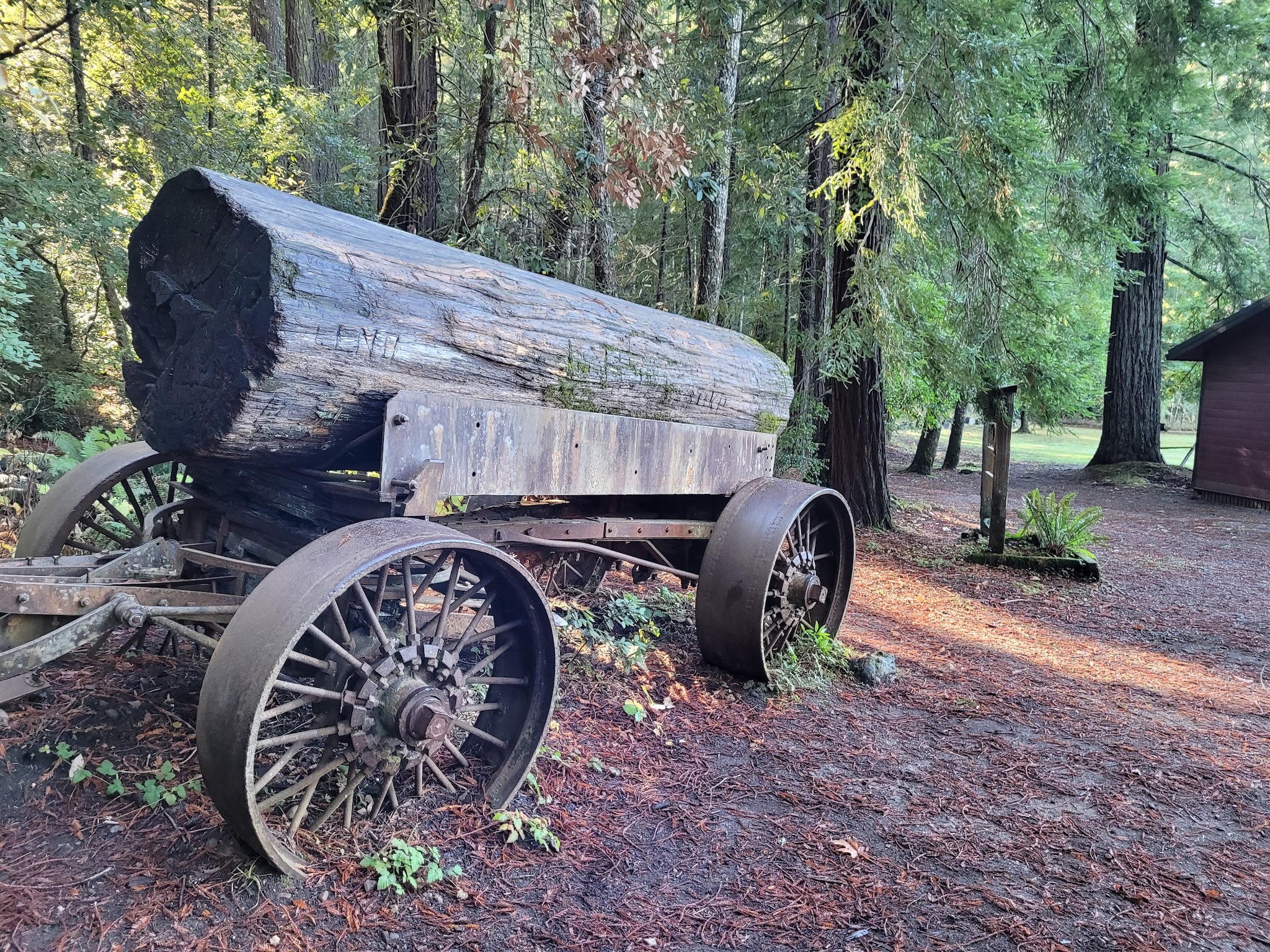 Drive-Thru Tree Park Leggett - Leggett, CA