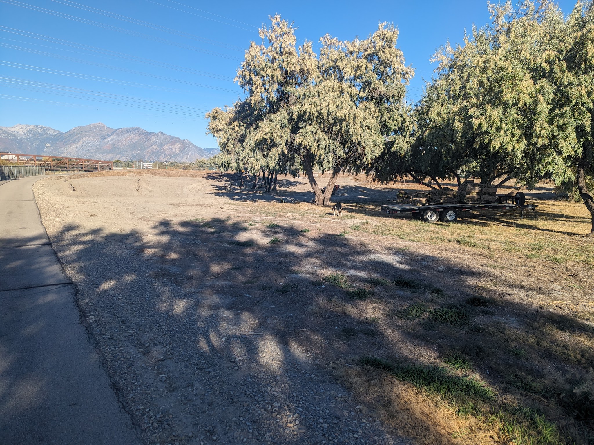 Dog Park at Willow Park - Lehi, UT