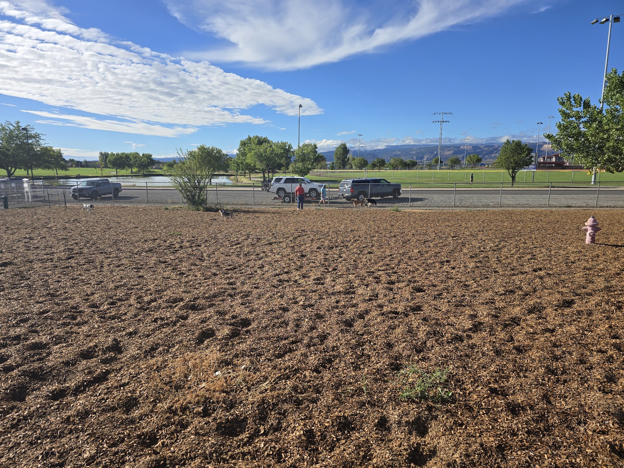 Dog Park at Willow Park - Lehi, UT