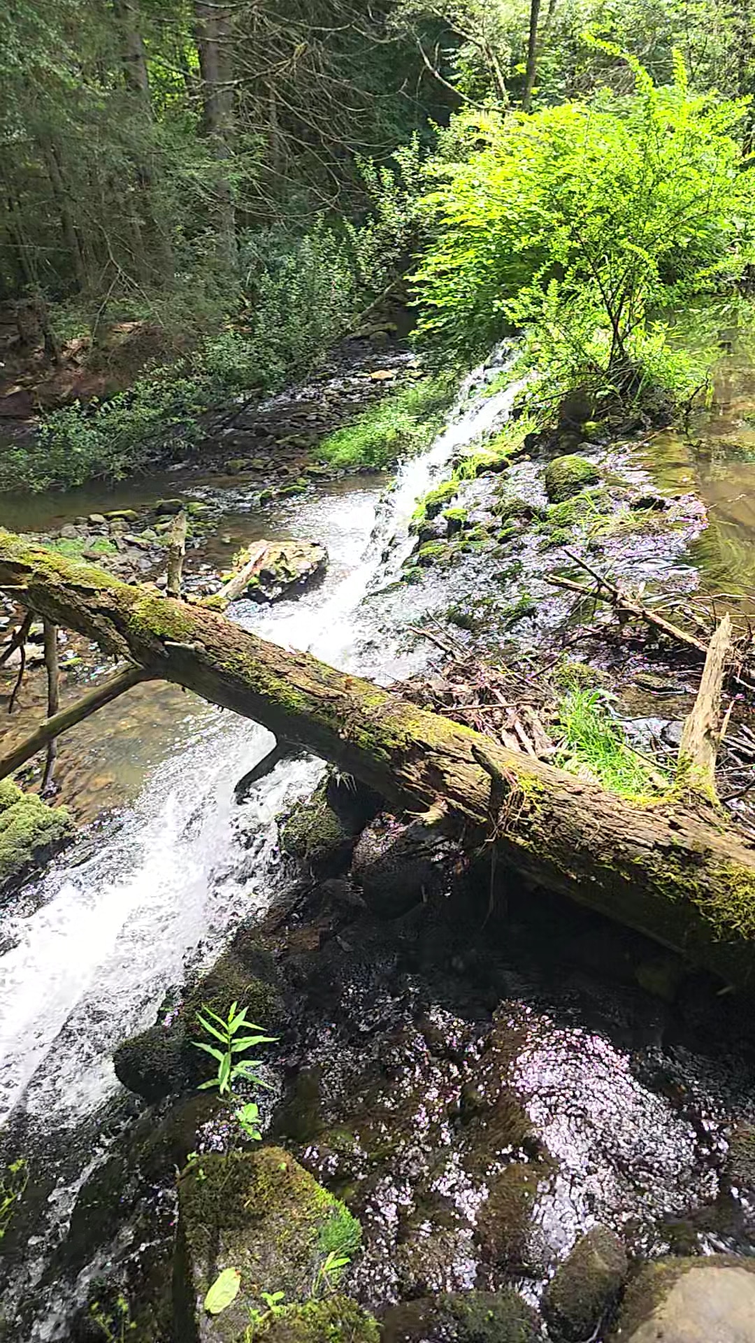 Sawmill Run Trailhead - Lehighton, PA