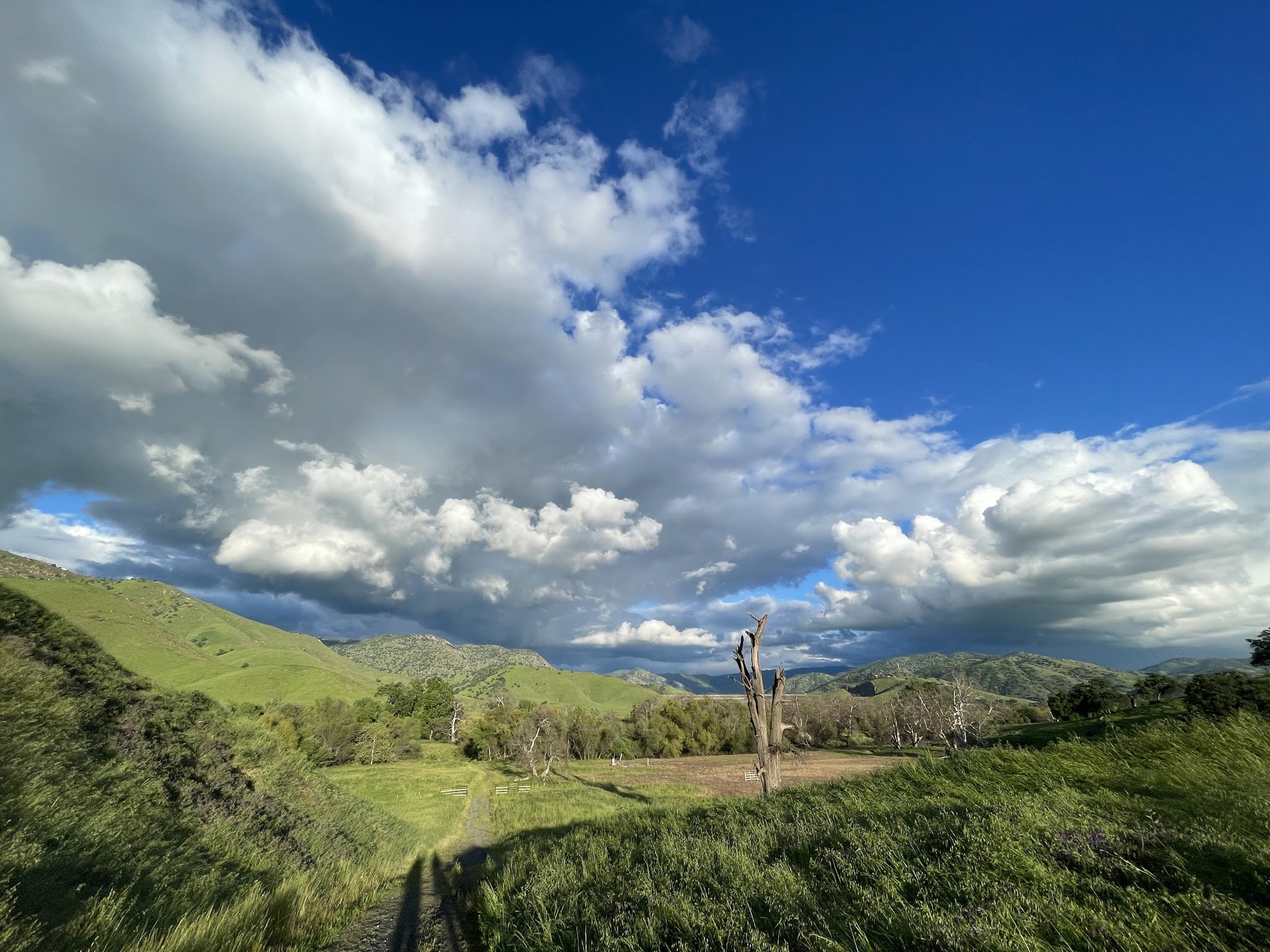 Dry creek Reserve - Lemon Cove, CA