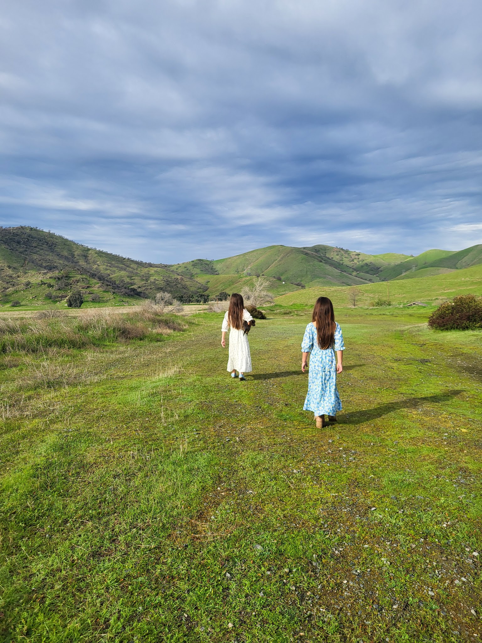 Dry creek Reserve - Lemon Cove, CA