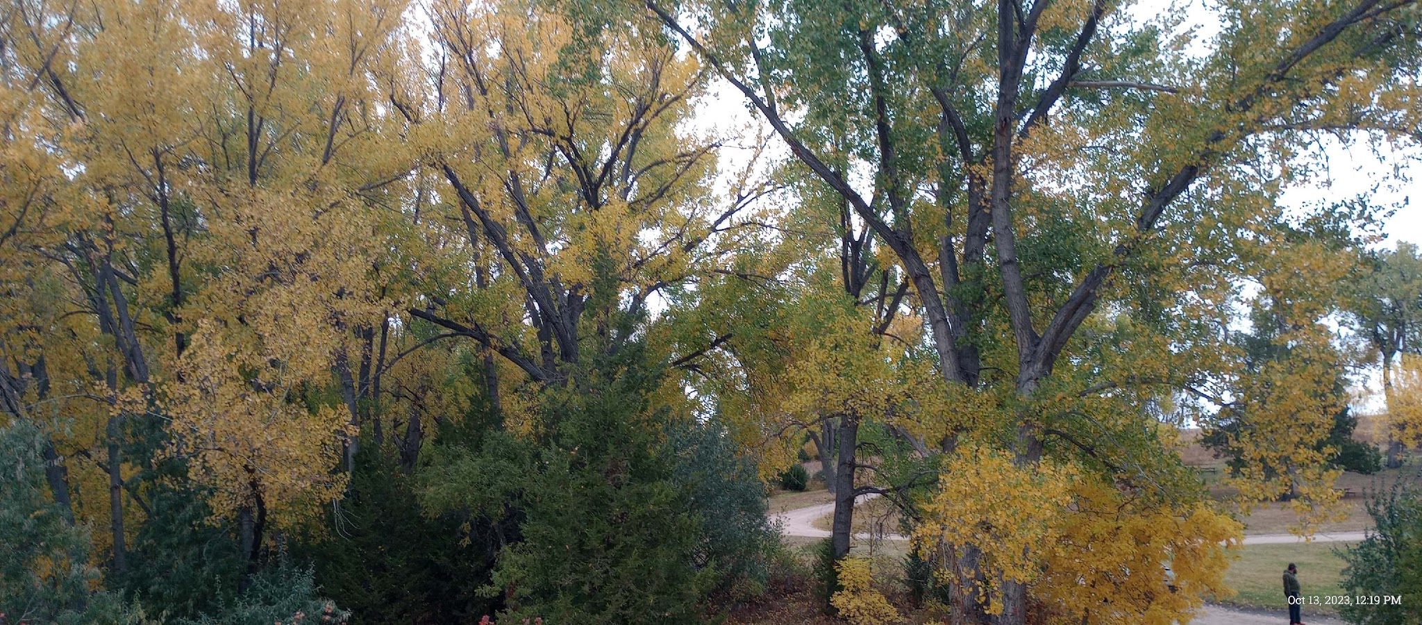 Spring Park Campground - Lemoyne, NE