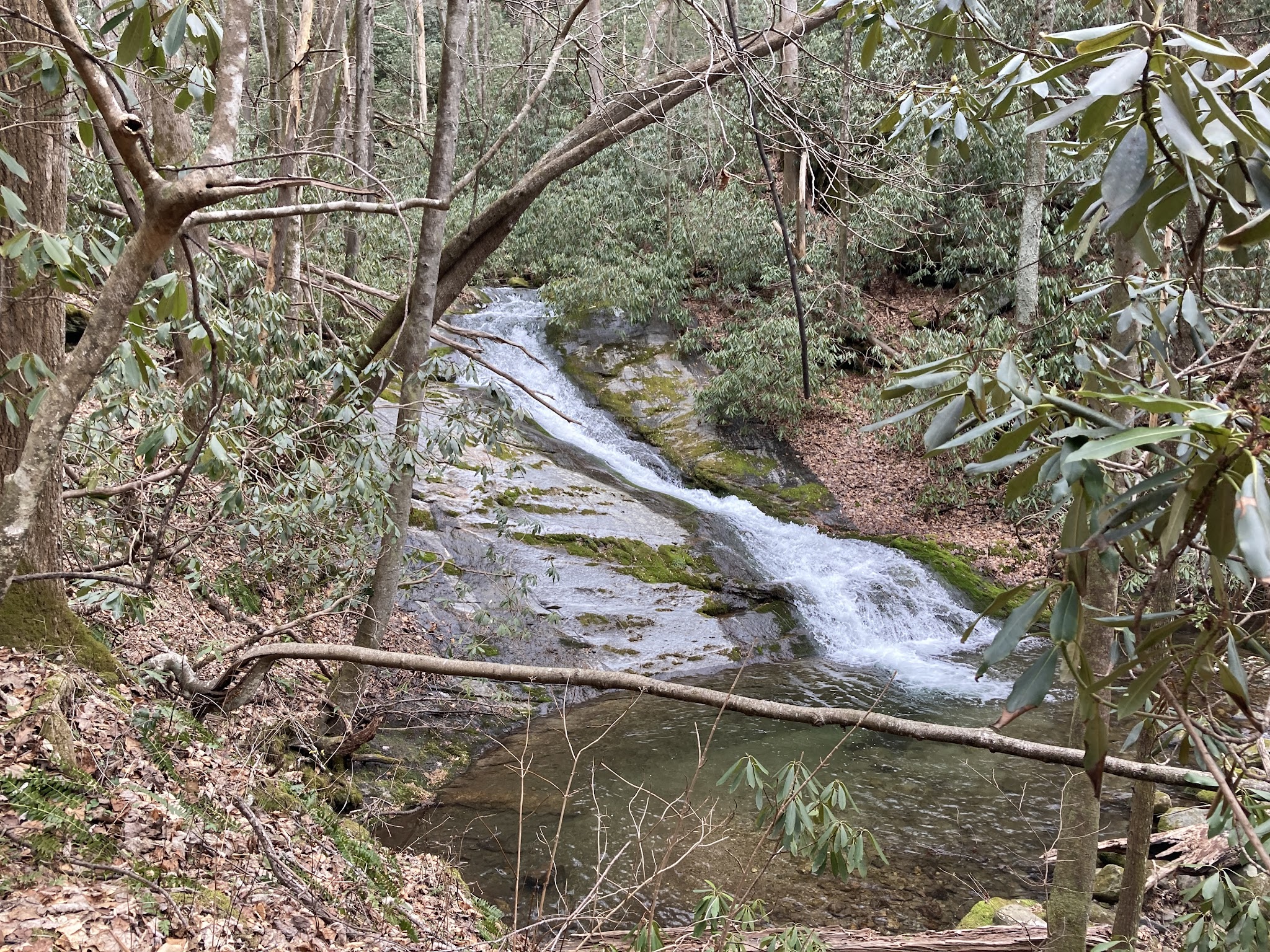 Lower China Creek Trail - Lenoir, NC