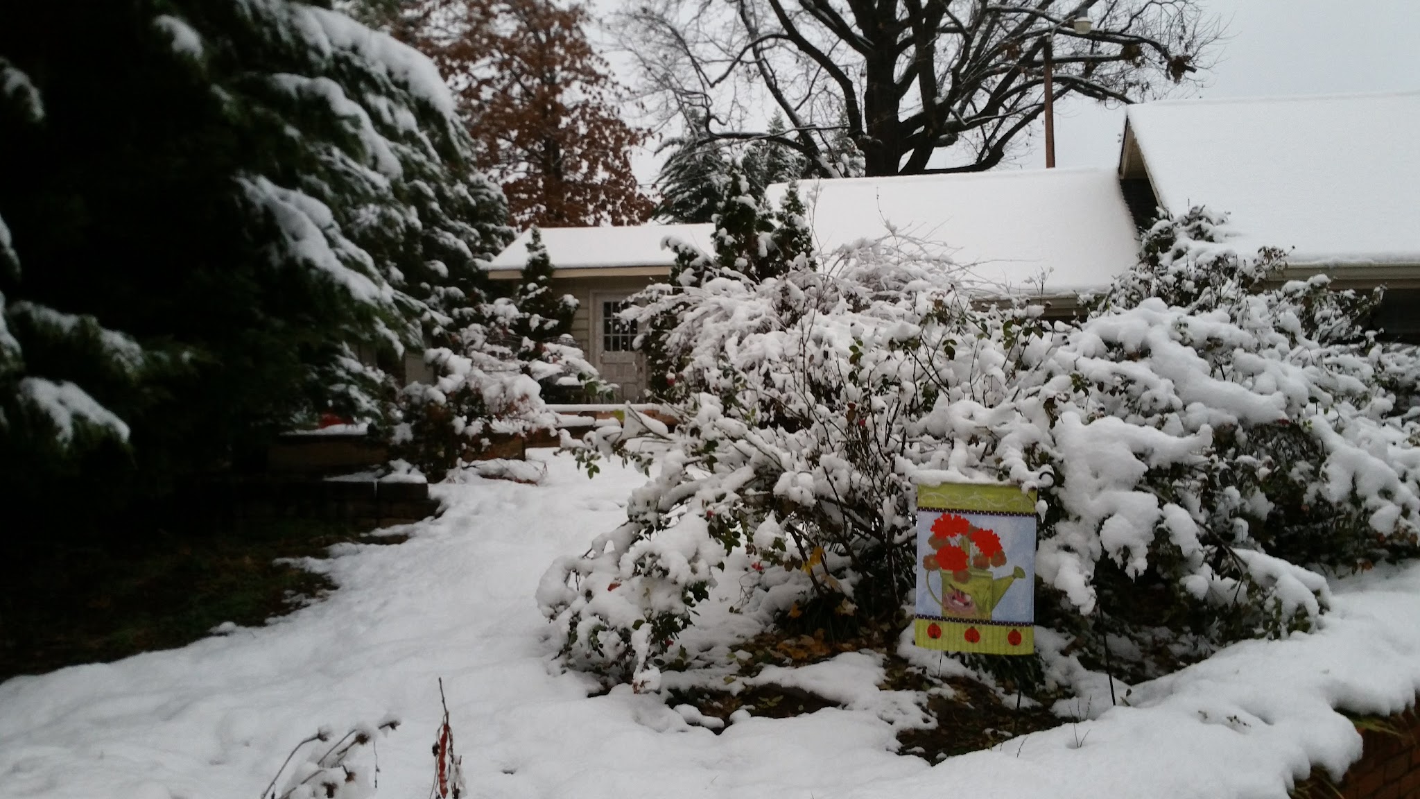 Triangle Park - Lenoir, NC