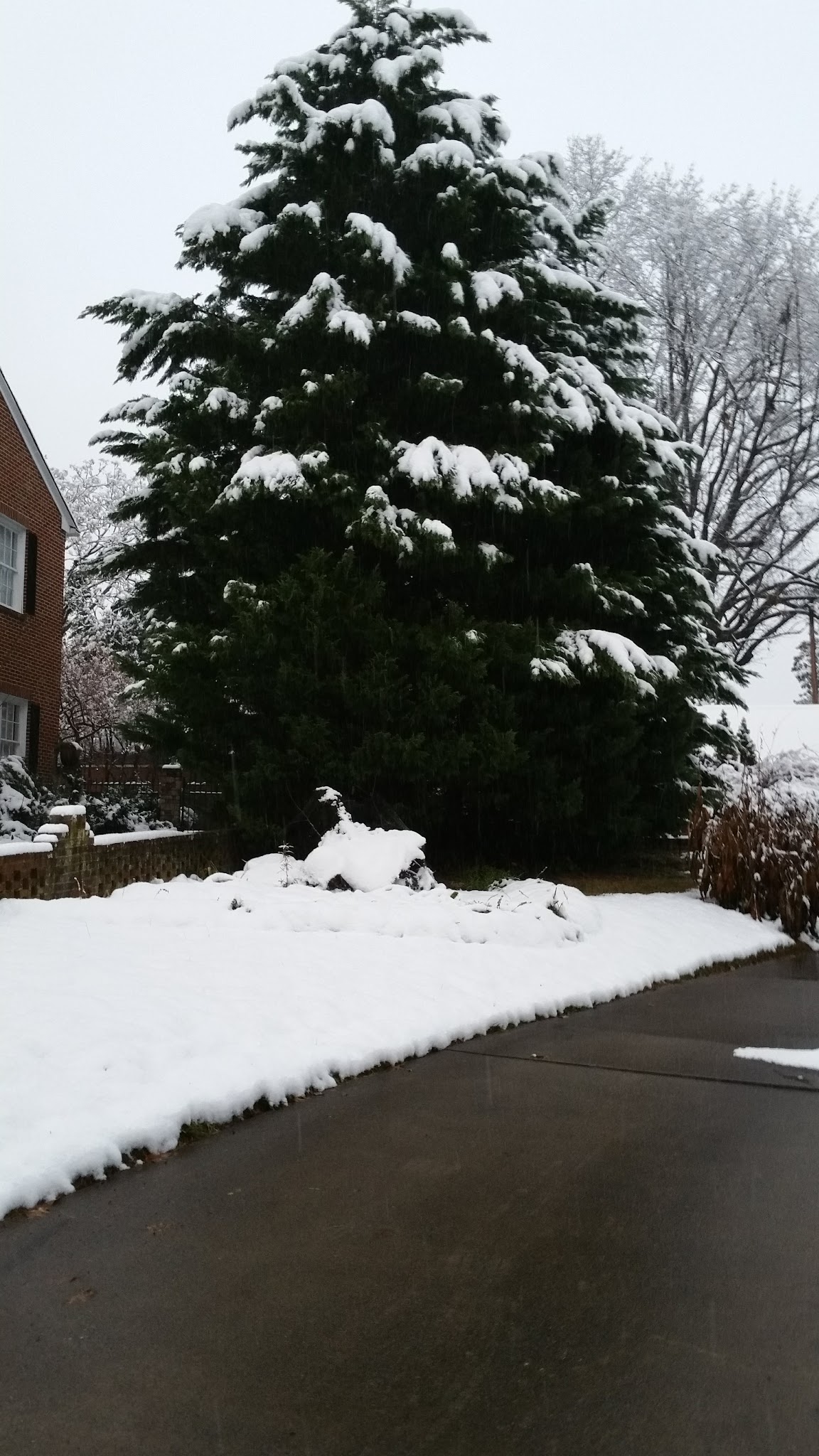 Triangle Park - Lenoir, NC