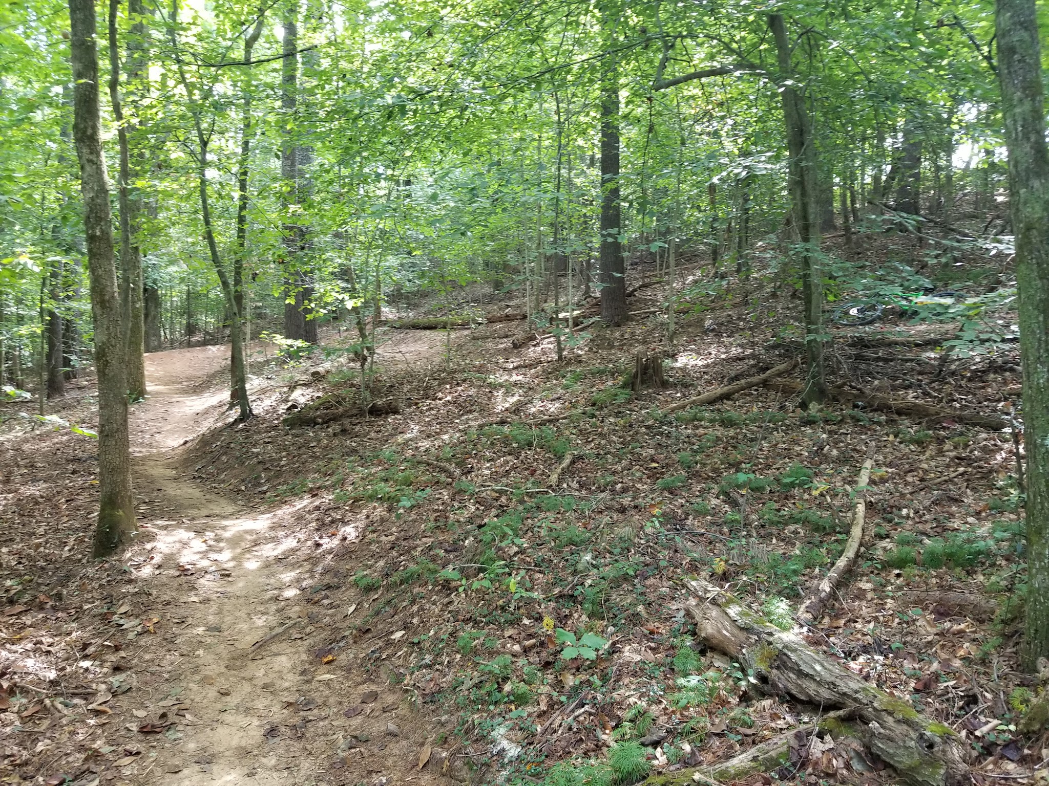 Zack's Fork Mountain Bike Trail Lenoir - Lenoir, NC