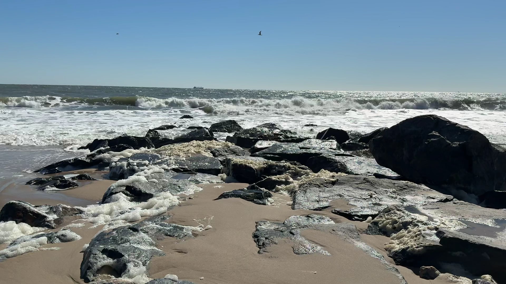 Gordons Pond Beach - Lewes, DE
