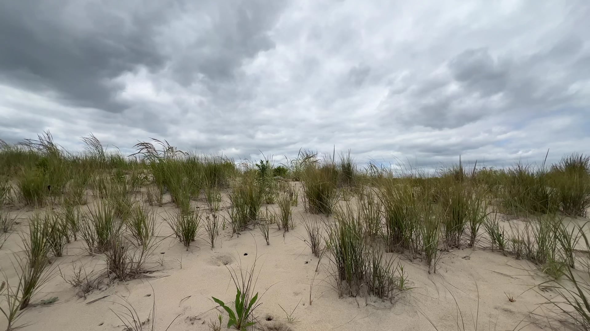 Gordons Pond Beach - Lewes, DE