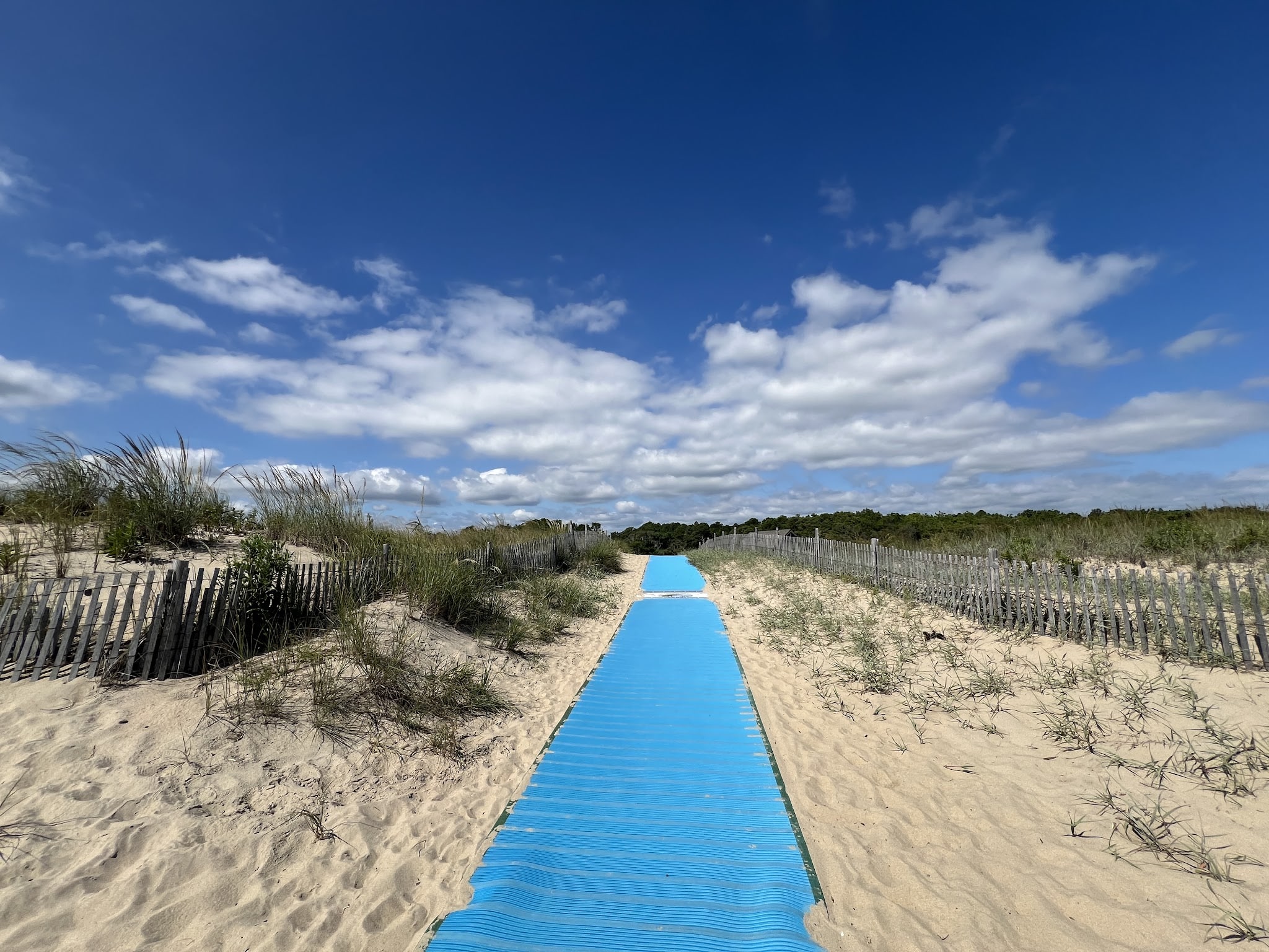 Gordons Pond Beach - Lewes, DE