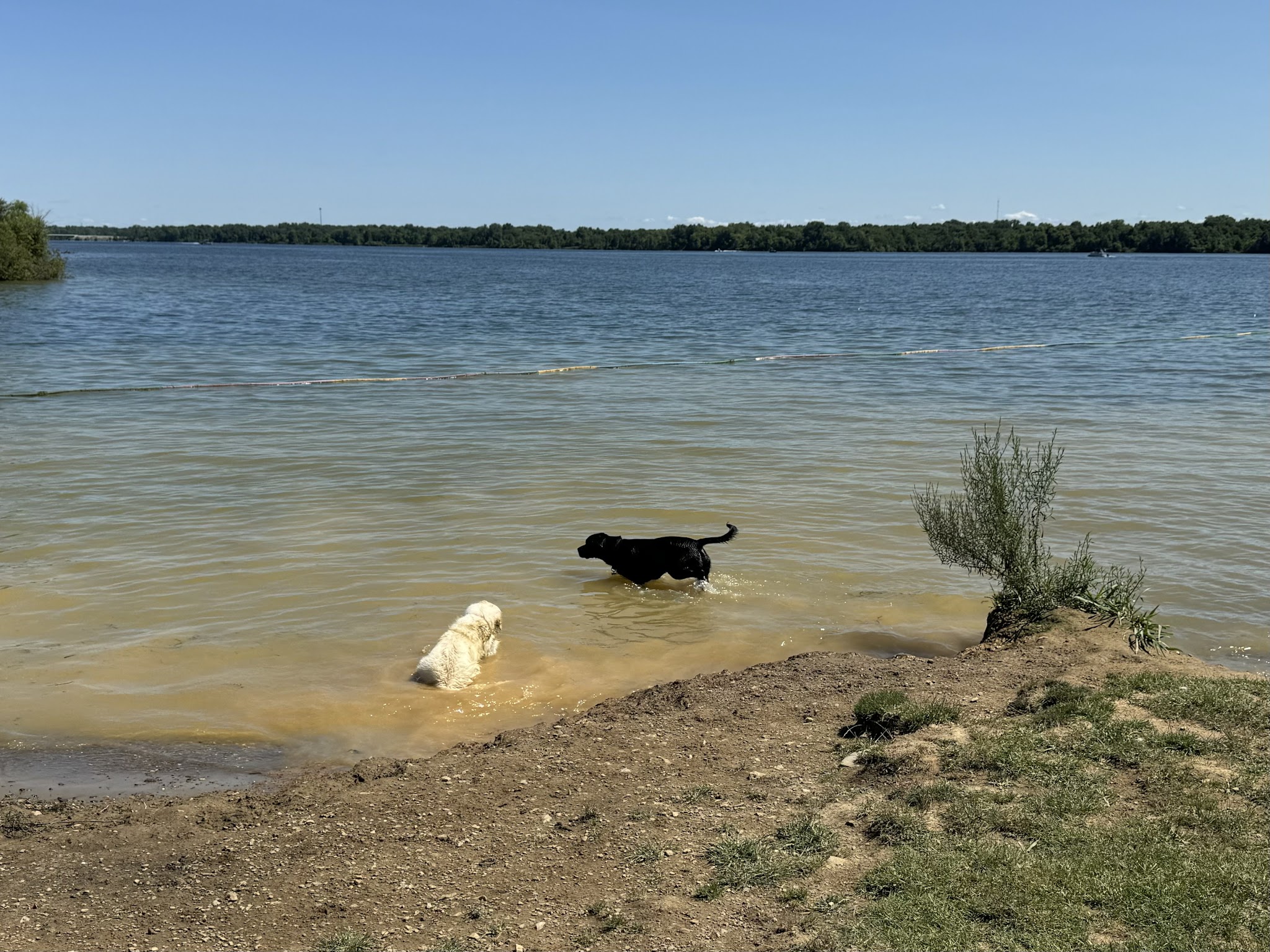 Friends of Alum Creek Dog Park - Lewis Center, OH