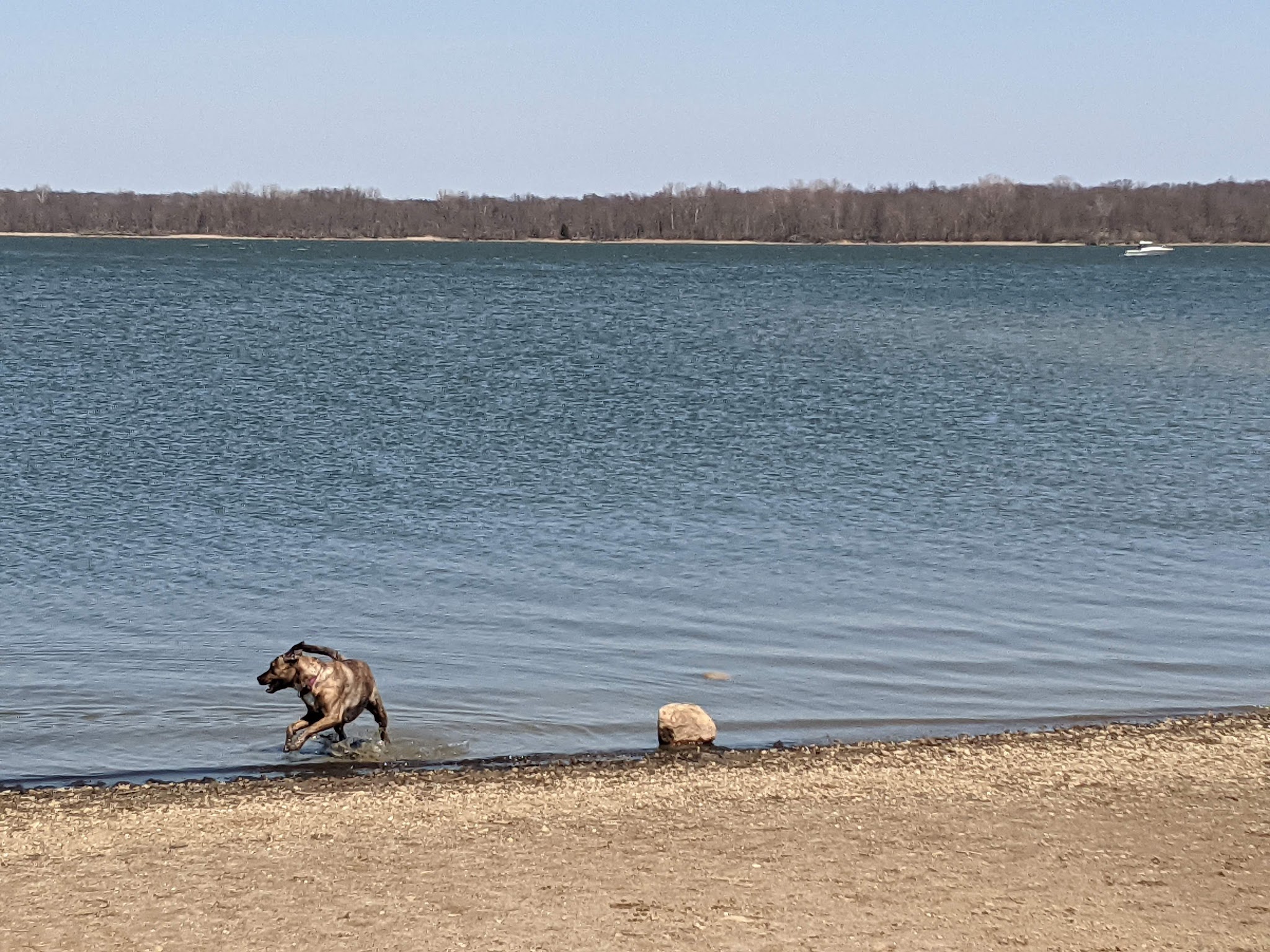 Friends of Alum Creek Dog Park - Lewis Center, OH