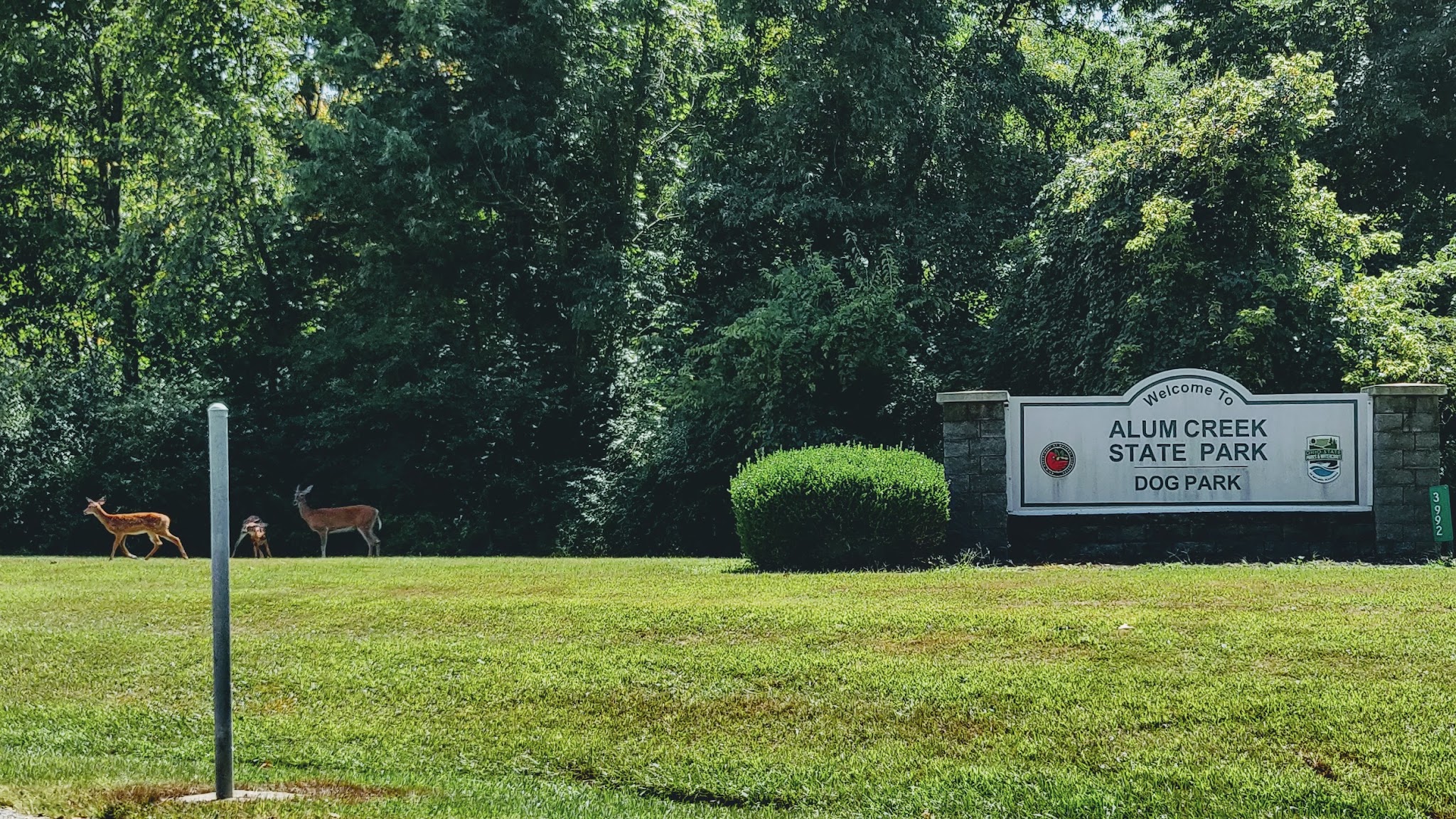 Friends of Alum Creek Dog Park - Lewis Center, OH